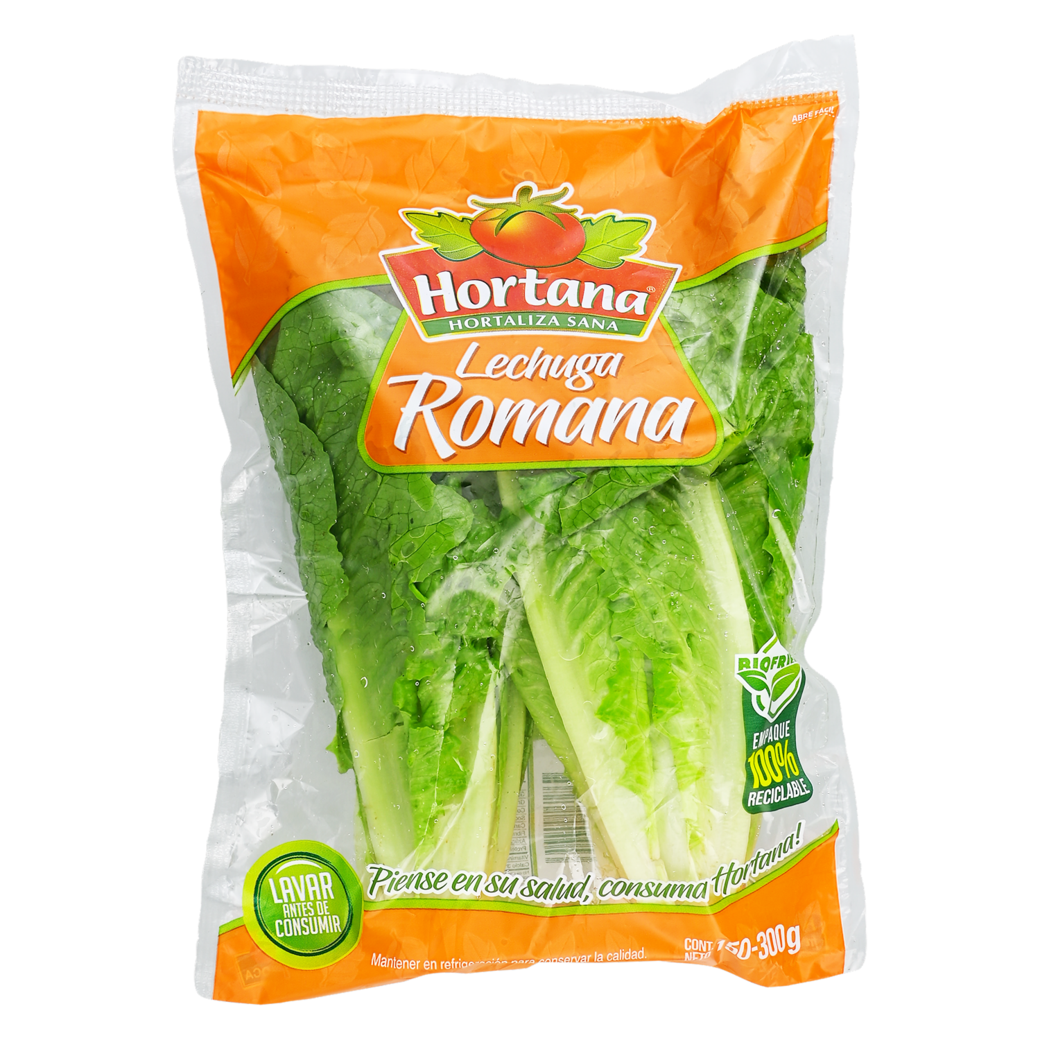 Lechuga Cesar HORTANA Funda