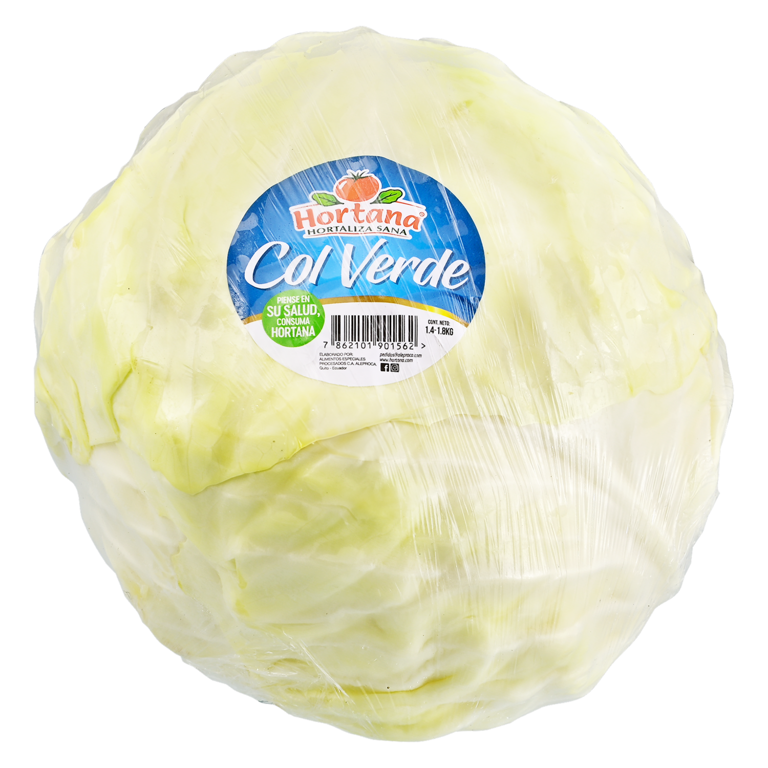Col Verde HORTANA Funda