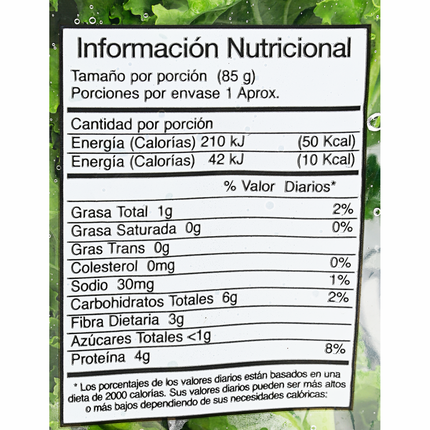 Kale Orgánico HORTANA 150 G