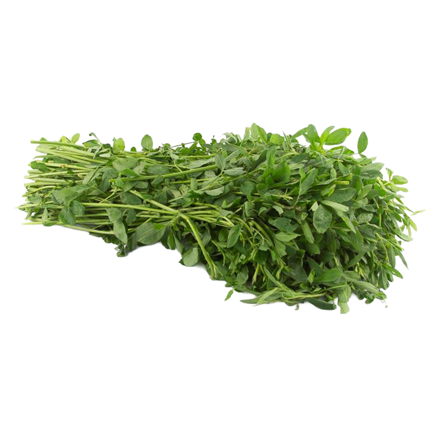 Alfalfa Fresca CF Atado