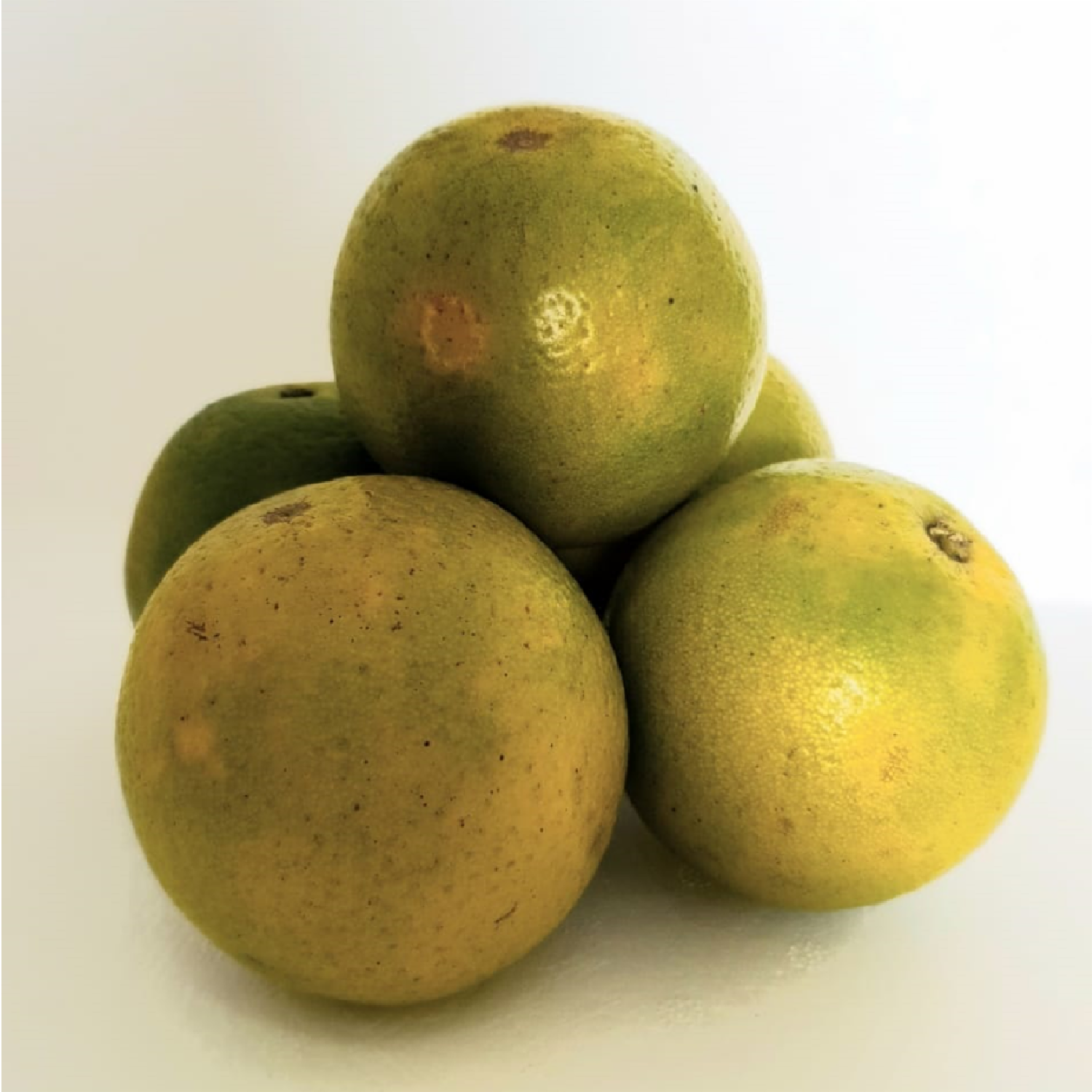 Naranja Zumex CF GRANEL Al Peso
