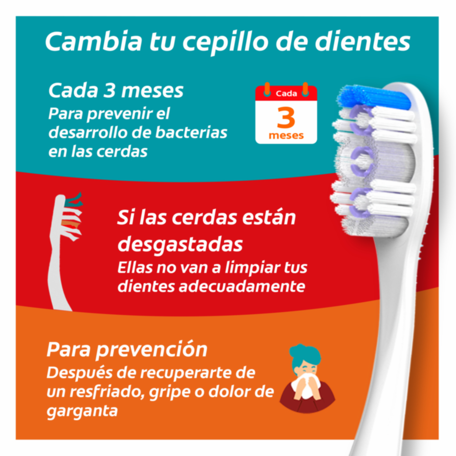 Cepillo Dental Extra Clean Cerdas Duras COLGATE 1X2 Unidades