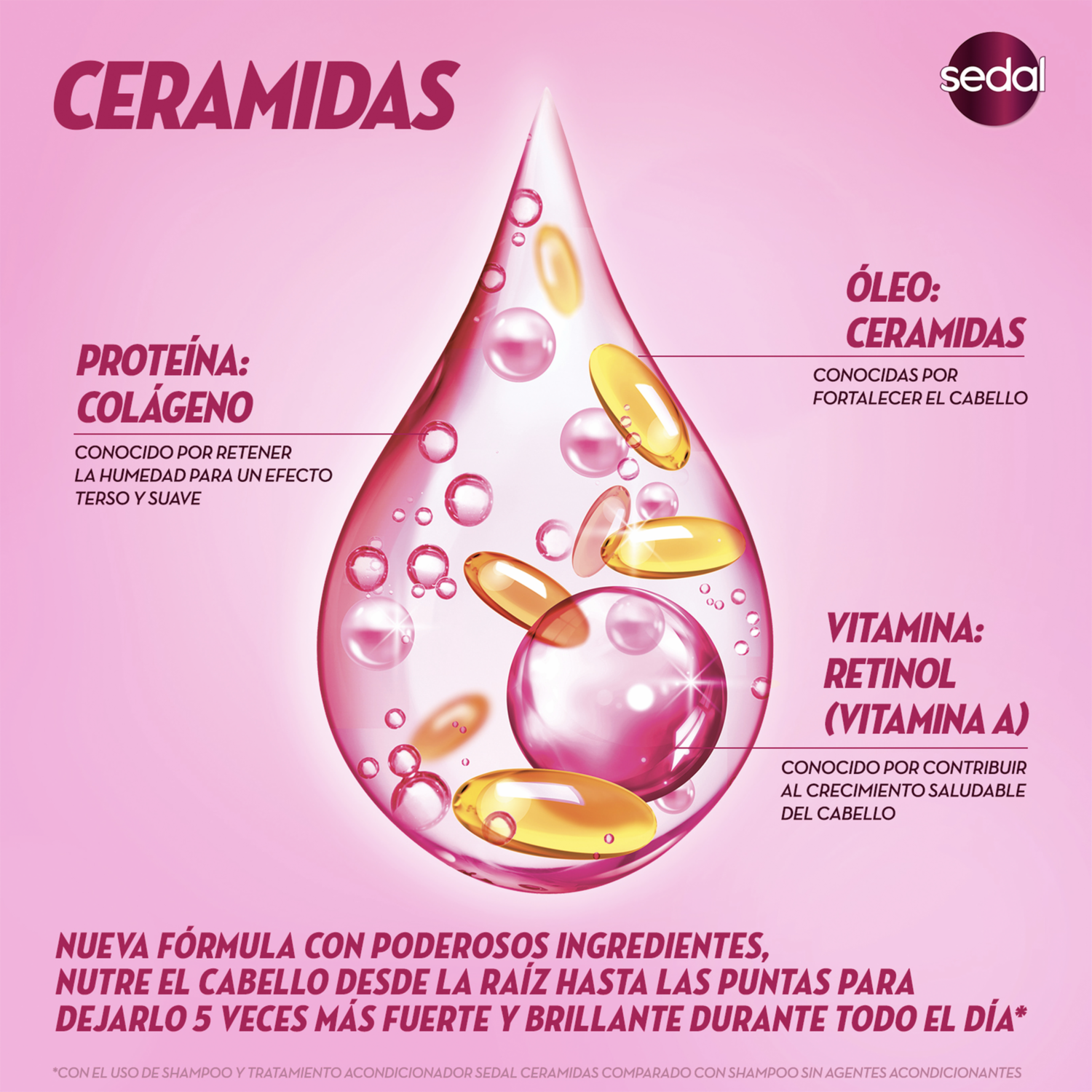 Shampoo De Cabello Con Ceramidas Active SEDAL 650 Ml