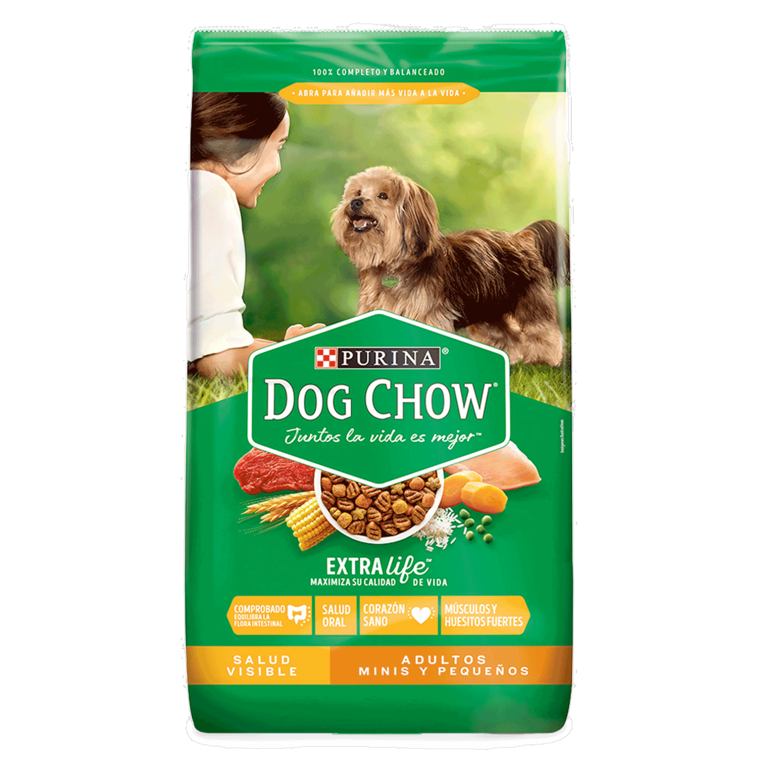 Alimento Para Perros Adultos Razas Pequeñas Y Minis PURINA DOG CHOW 1000 G