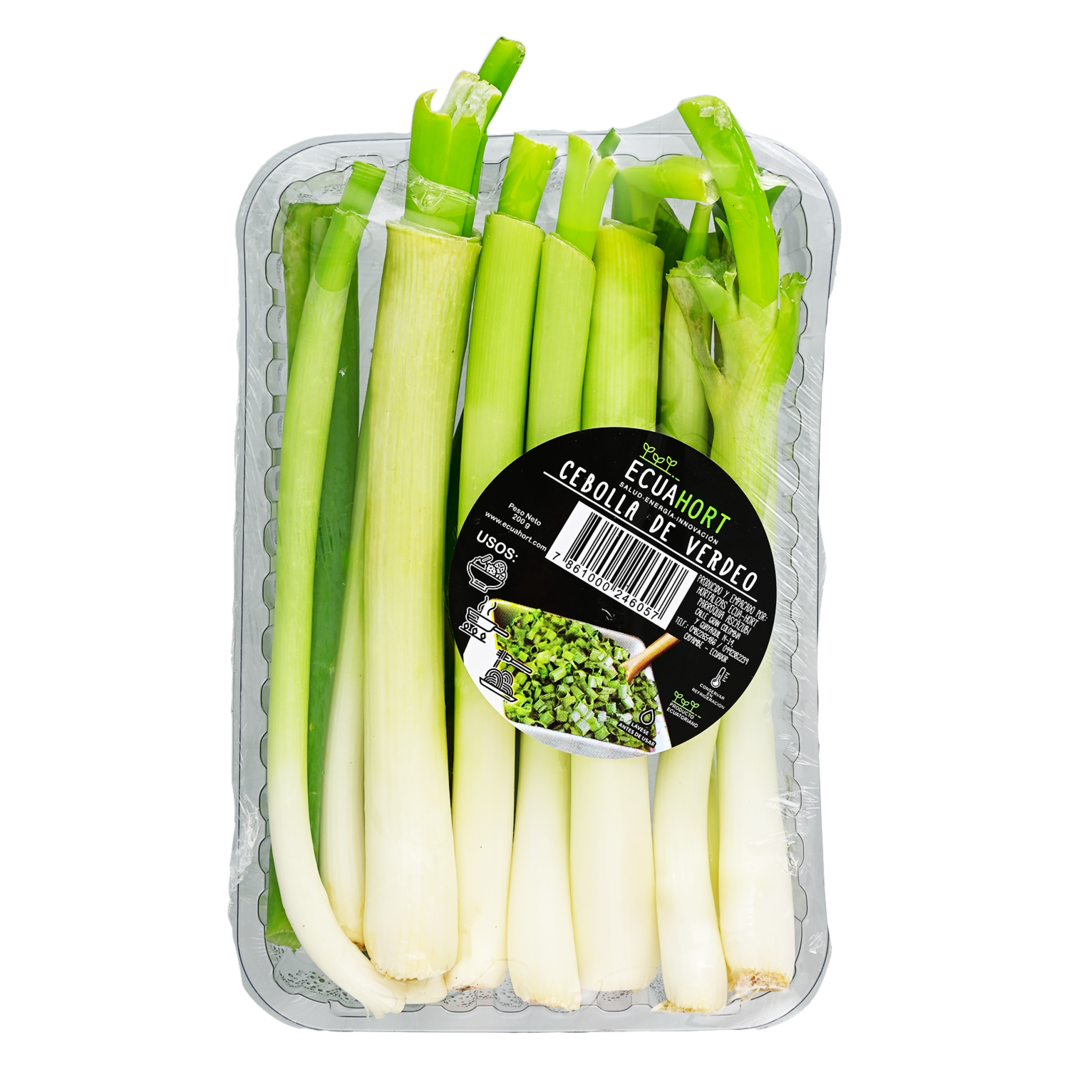 Cebolla De Verdeo ECUAHORT 200 G