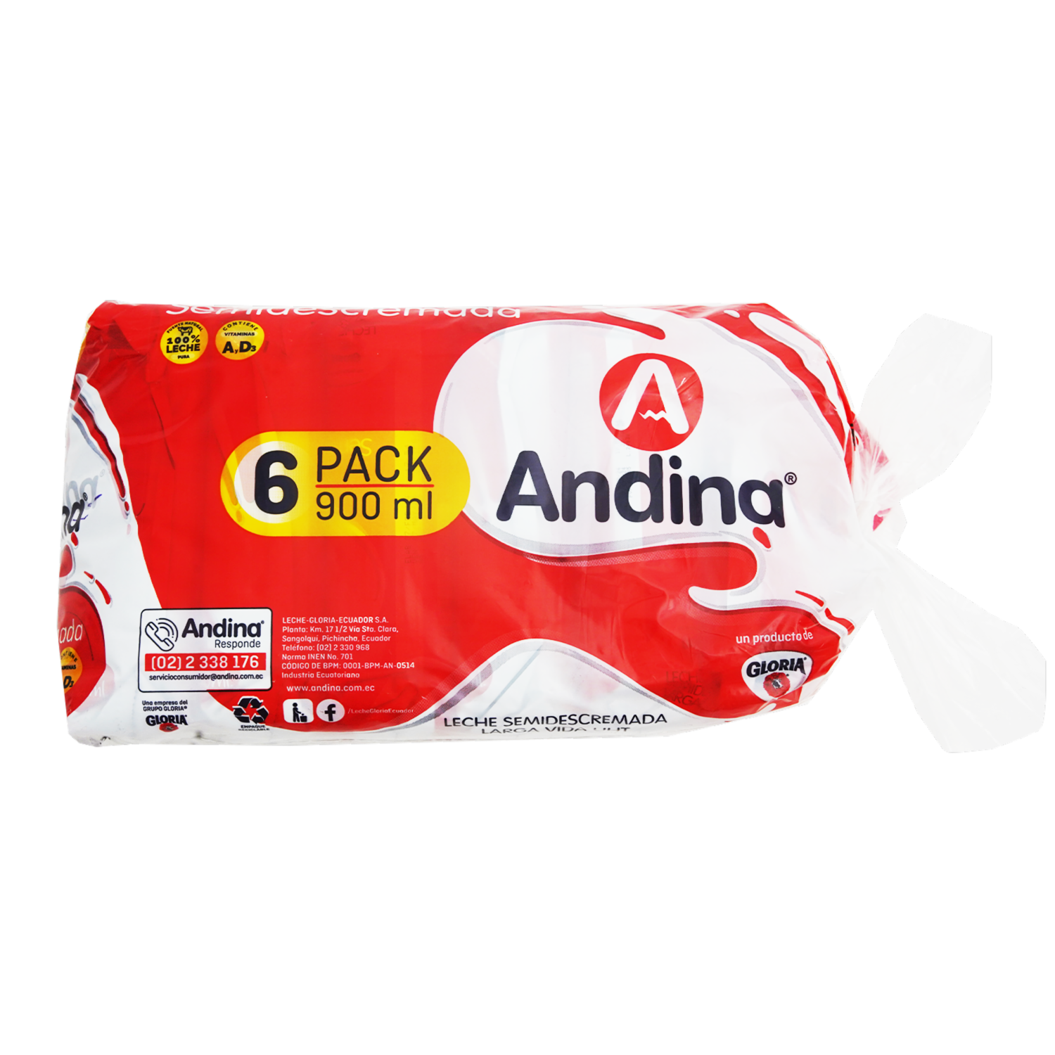 Pack Leche Semidescremada En Funda ANDINA 6 X 900 Ml
