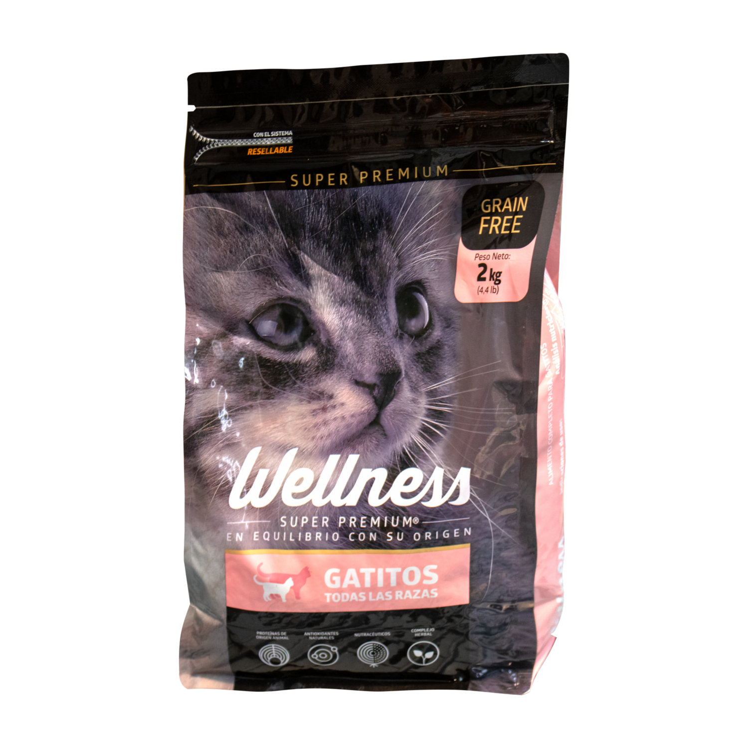 Alimento Para Gatitos Super Premiun WELLNESS 2000 G
