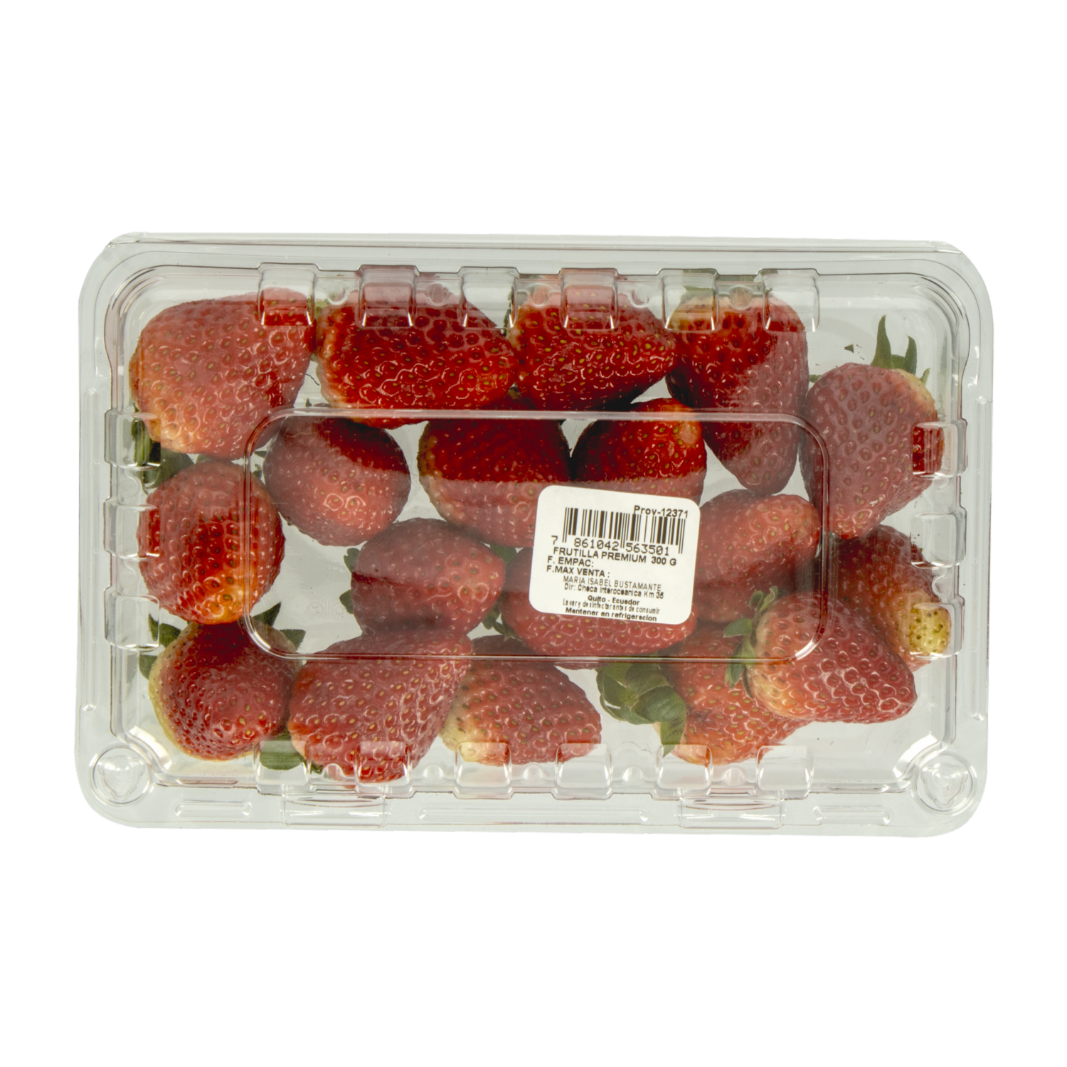 Frutilla Premium CF 300 G