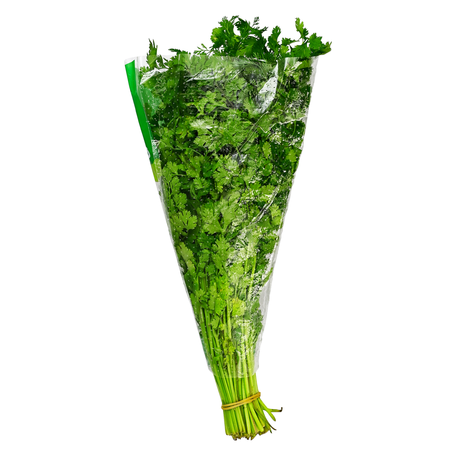 Culantro Orgánico SUPERMAXI Atado