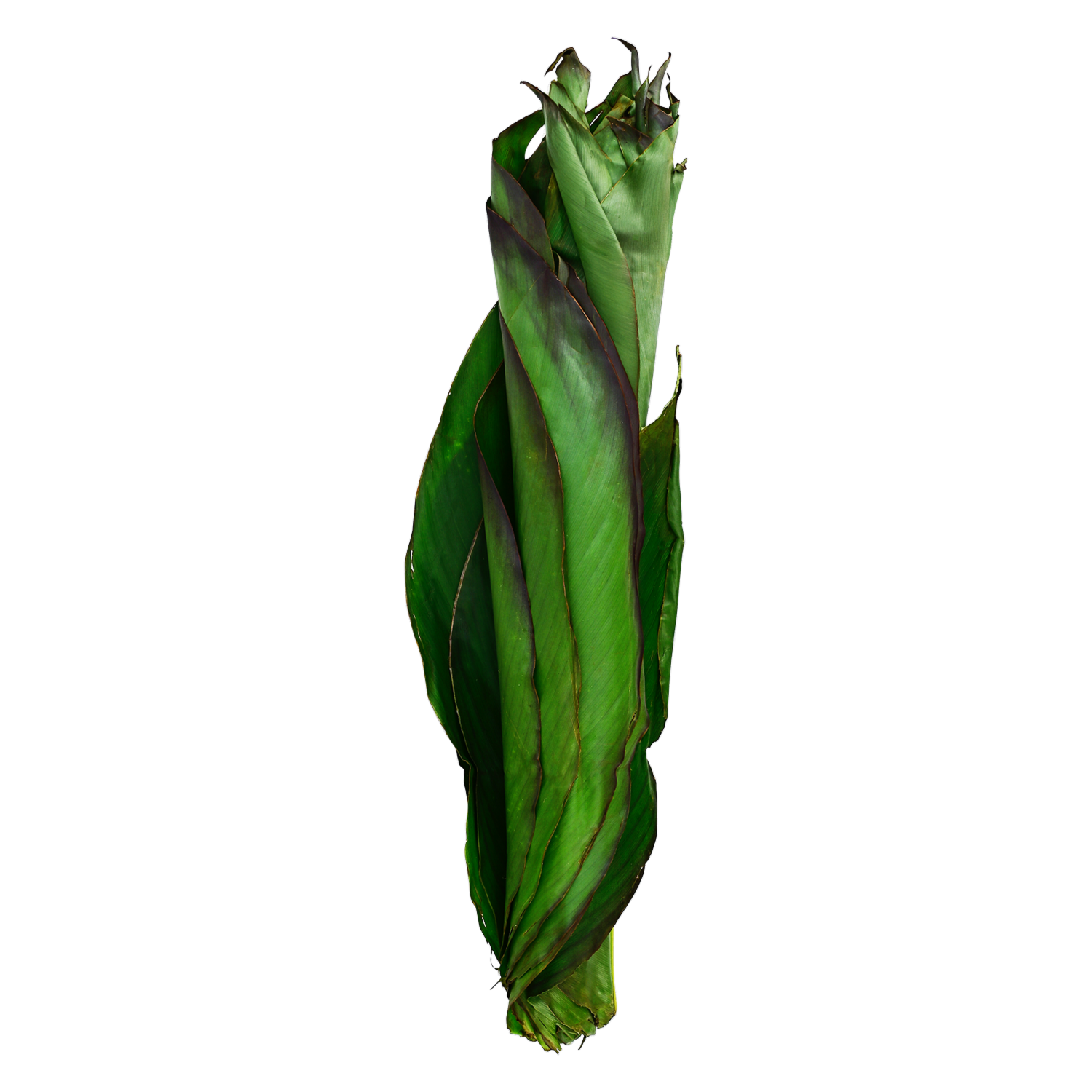 Atchera Hoja CF 200 g