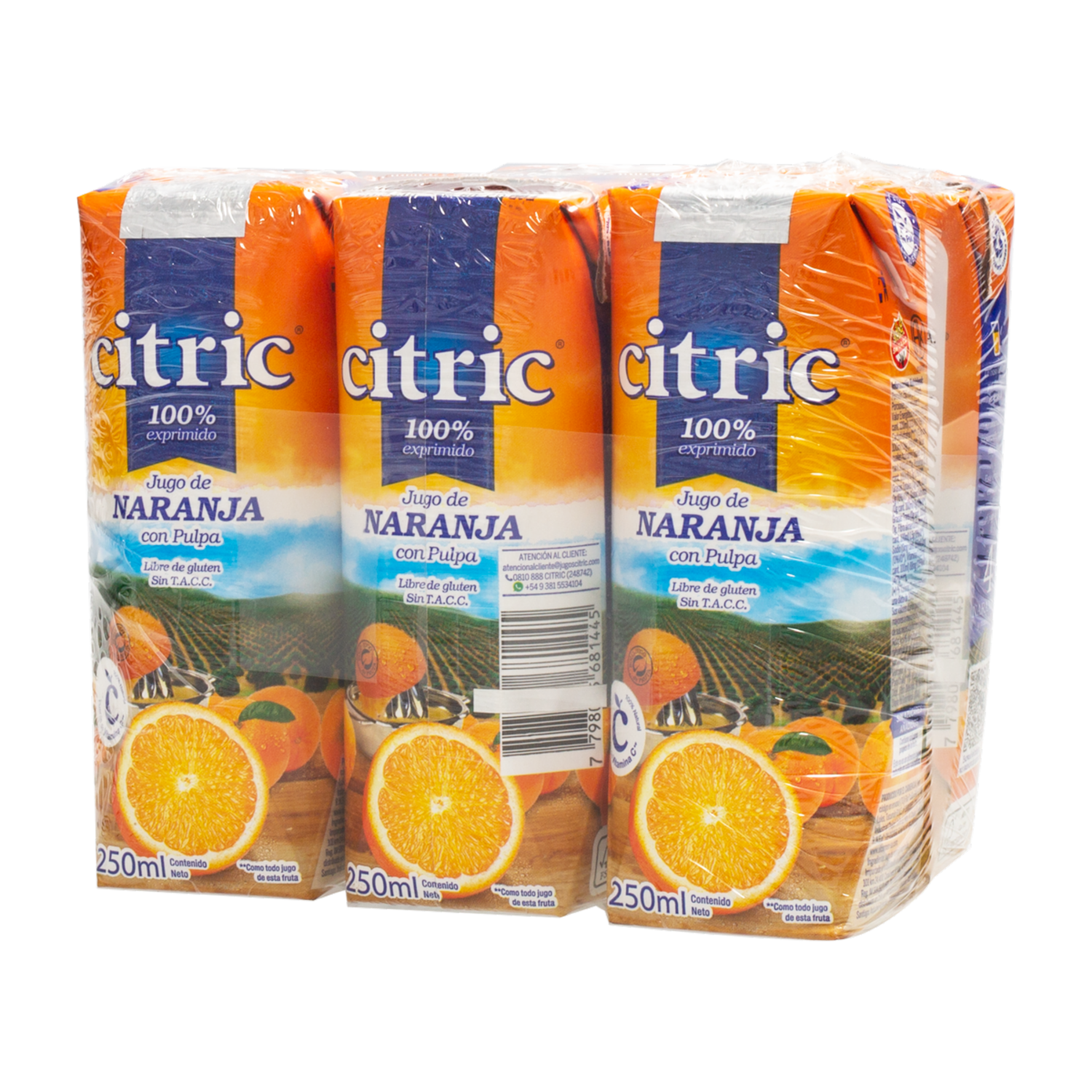 6Pack Jugo De Naranja CITRIC 6 X 250 ml
