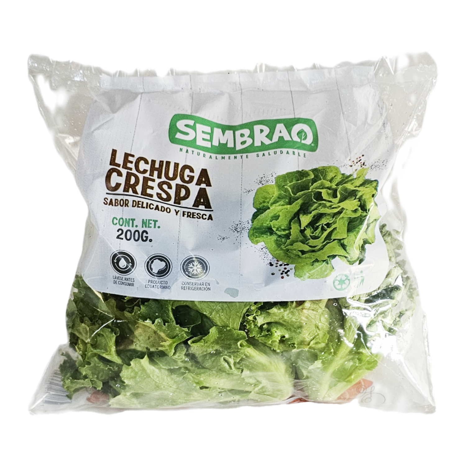 Lechuga Crespa SEMBRAO 200 G