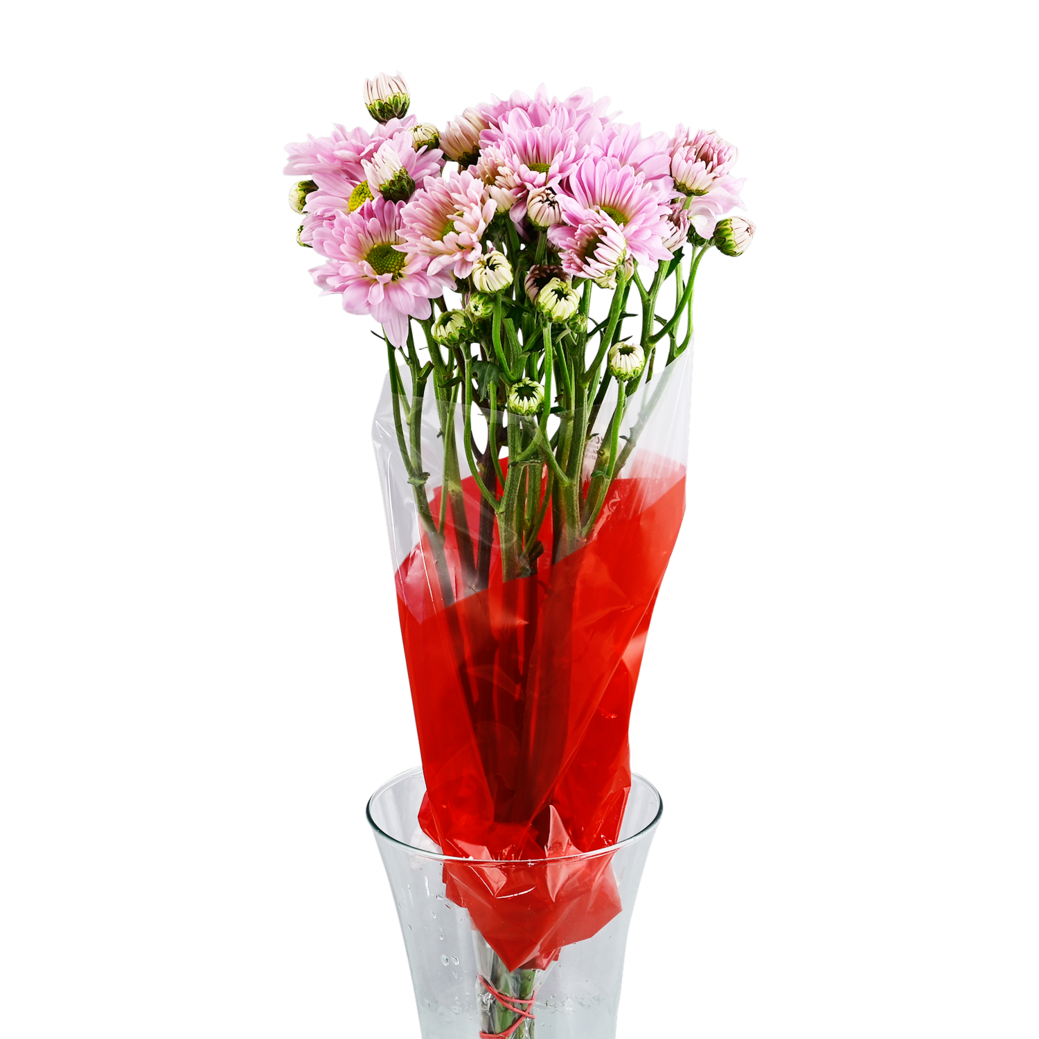 Margarita Surtida FLORES CONDOR X 10 Tallos