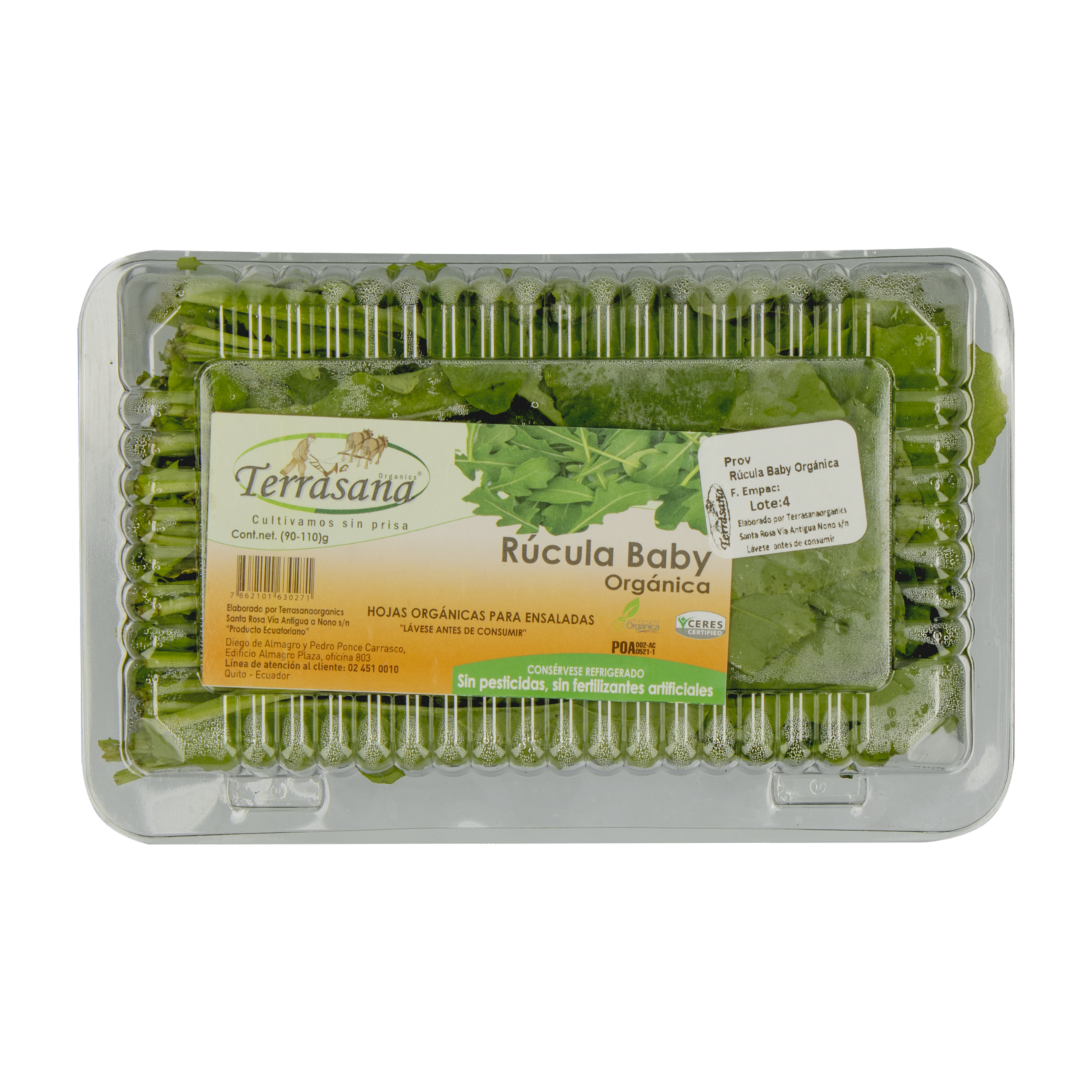 Rúcula Orgánica TERRASANA 90 G