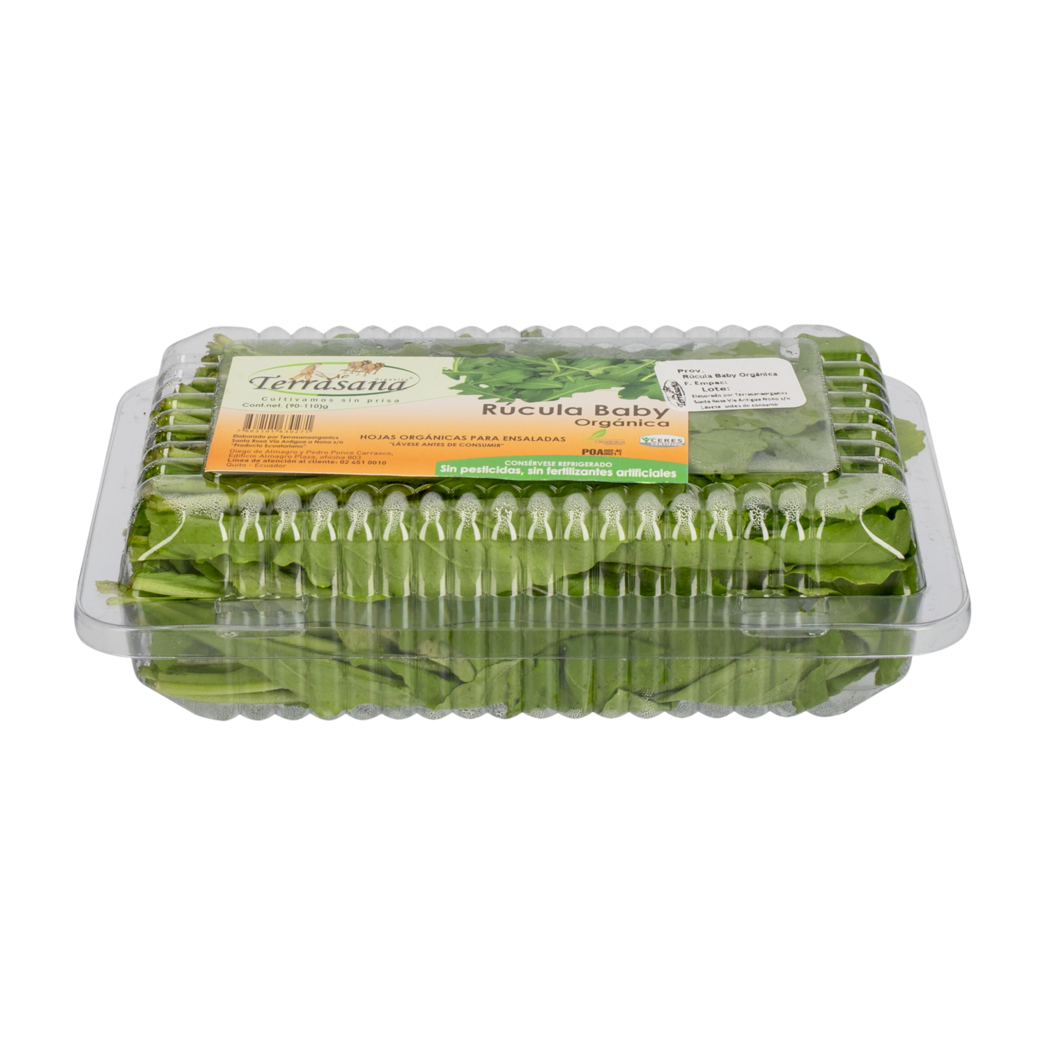 Rúcula Orgánica TERRASANA 90 G