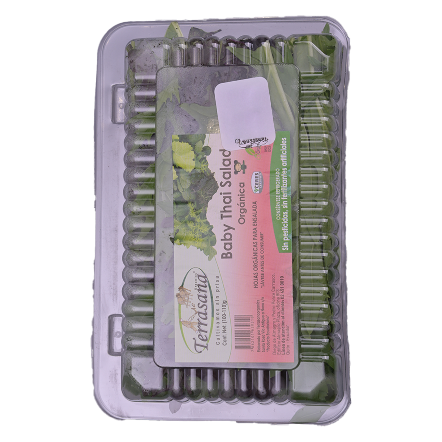 Ensalada Orgánica Baby Thai TERRASANA 90G