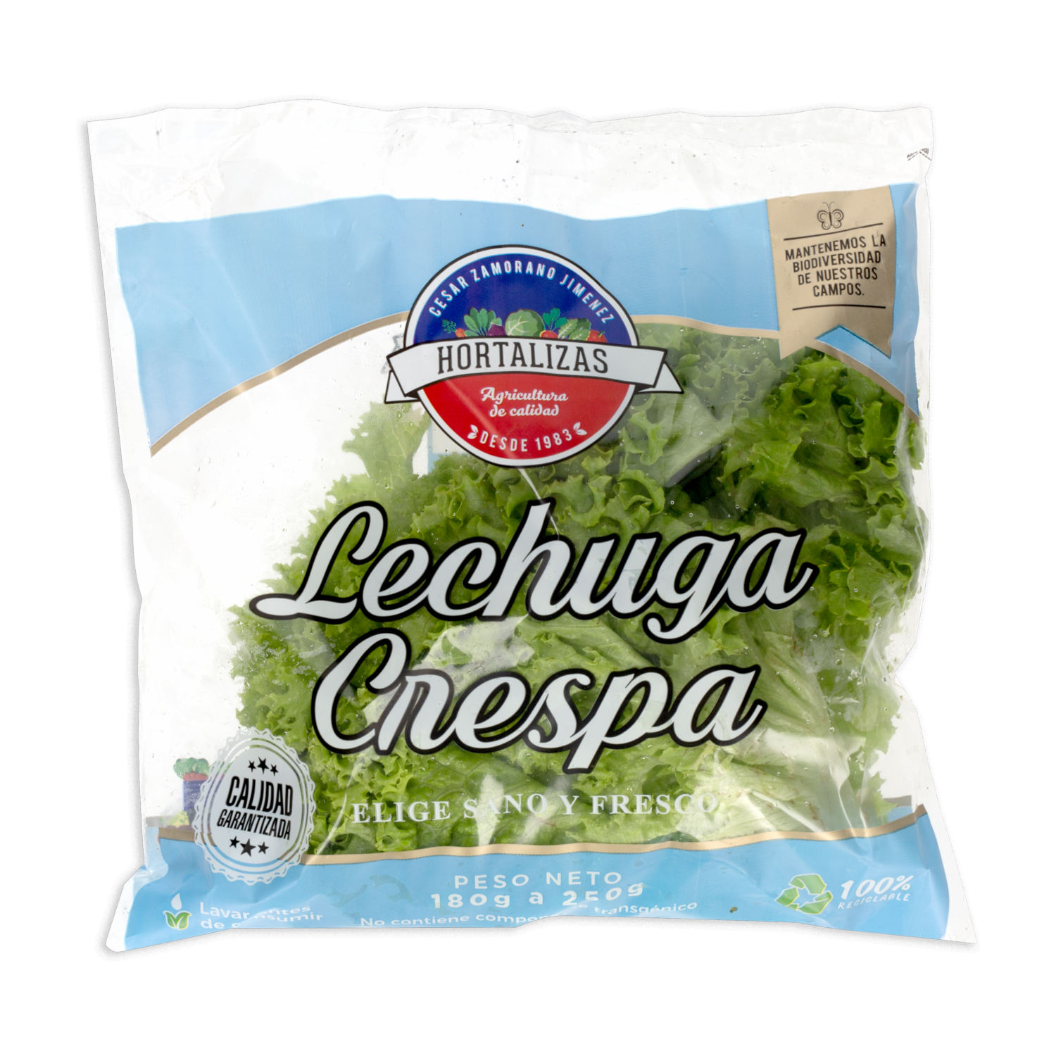 Lechuga Crespa ZAMORANO 180-250 G