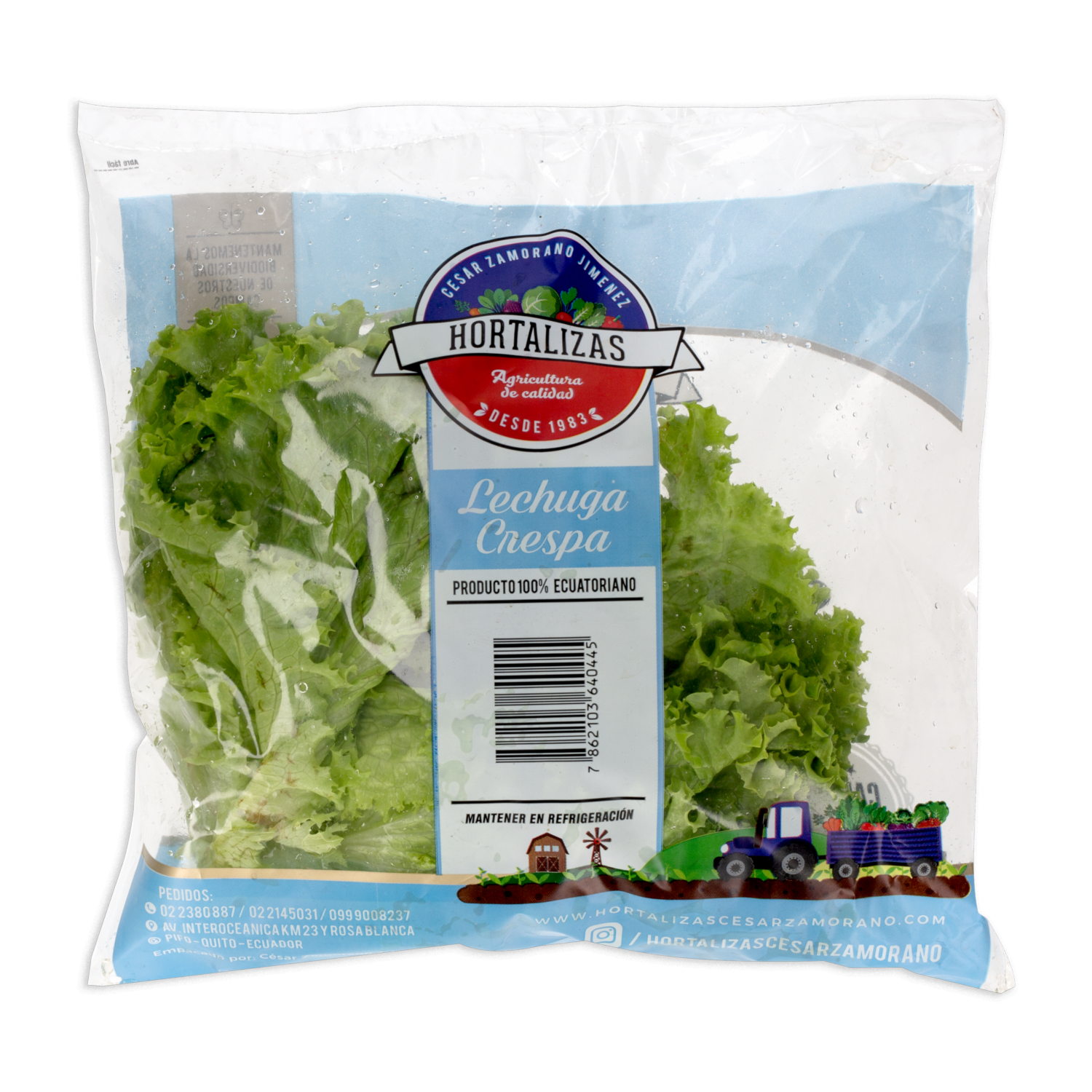 Lechuga Crespa ZAMORANO 180-250 G