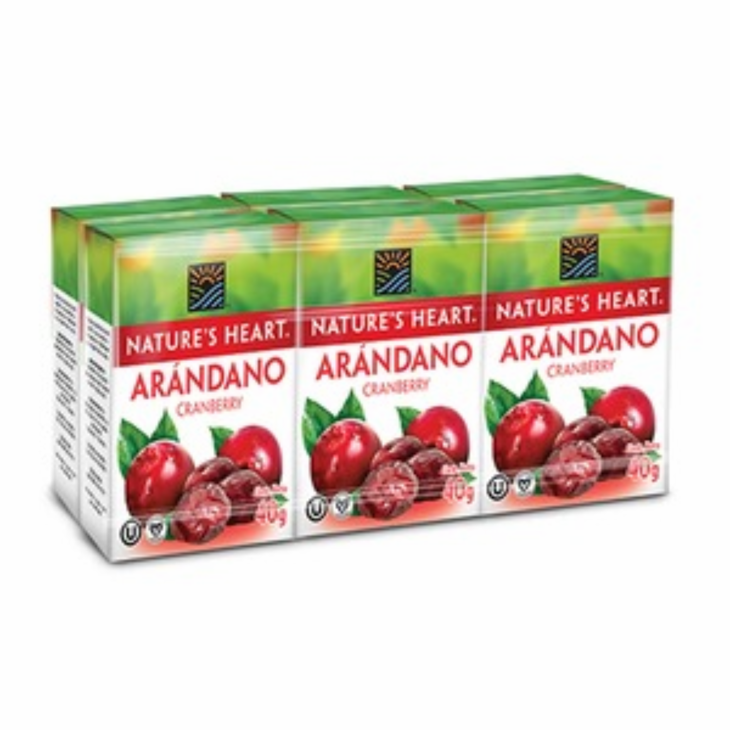 Arándanos Deshidratado NATURE’S HEART 240 G