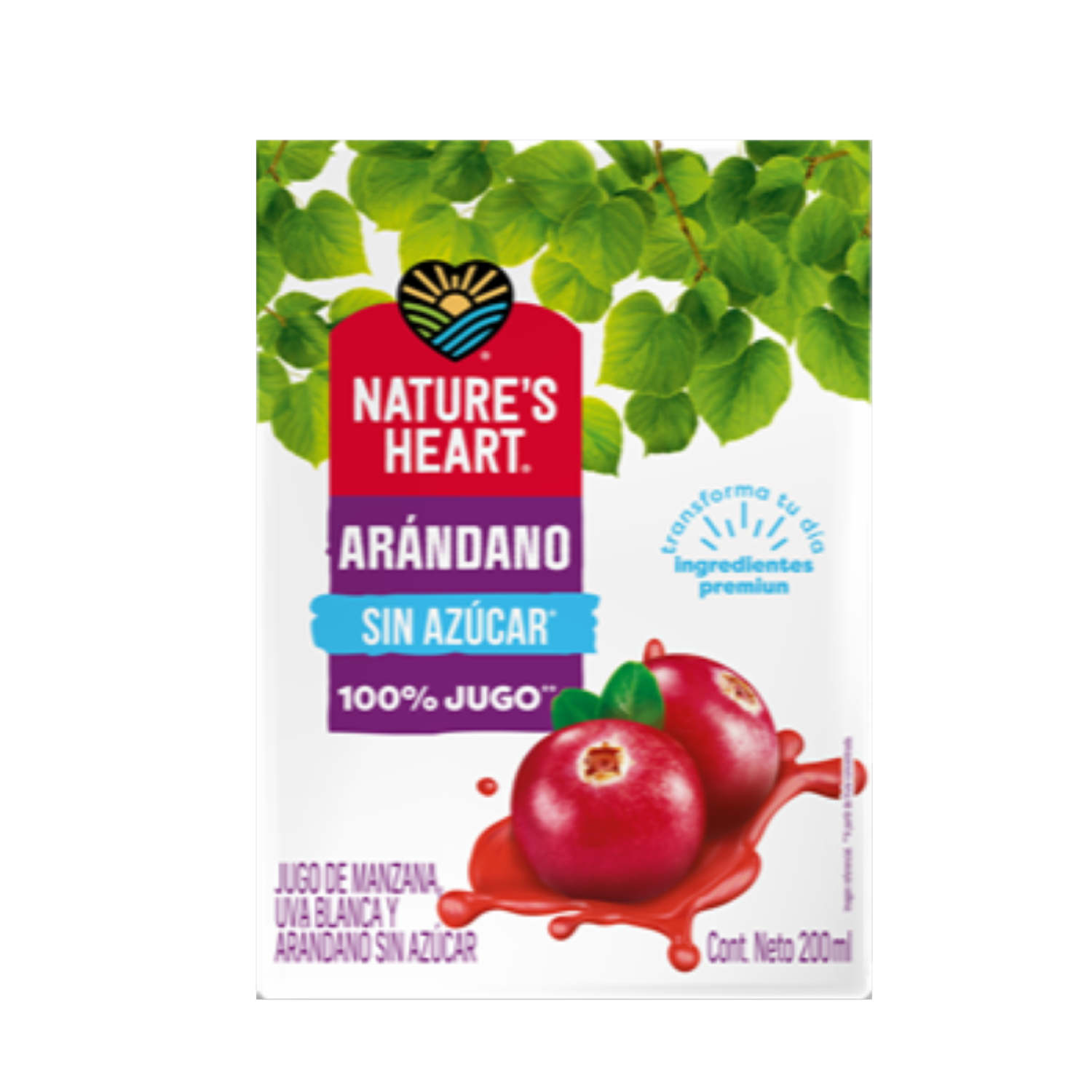 Jugo De Arándanos Sin Azúcar NATURE’S HEART 200 Ml