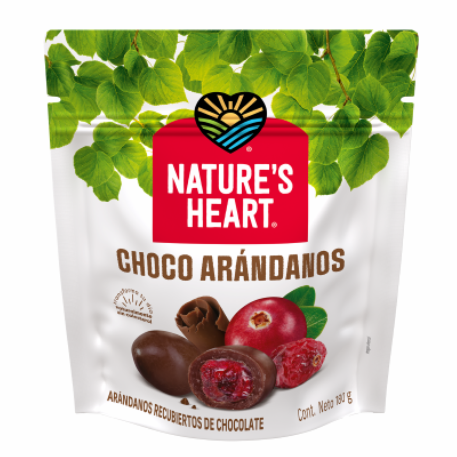 Frutos Secos Choco Arándanos NATURE’S HEART 180 G