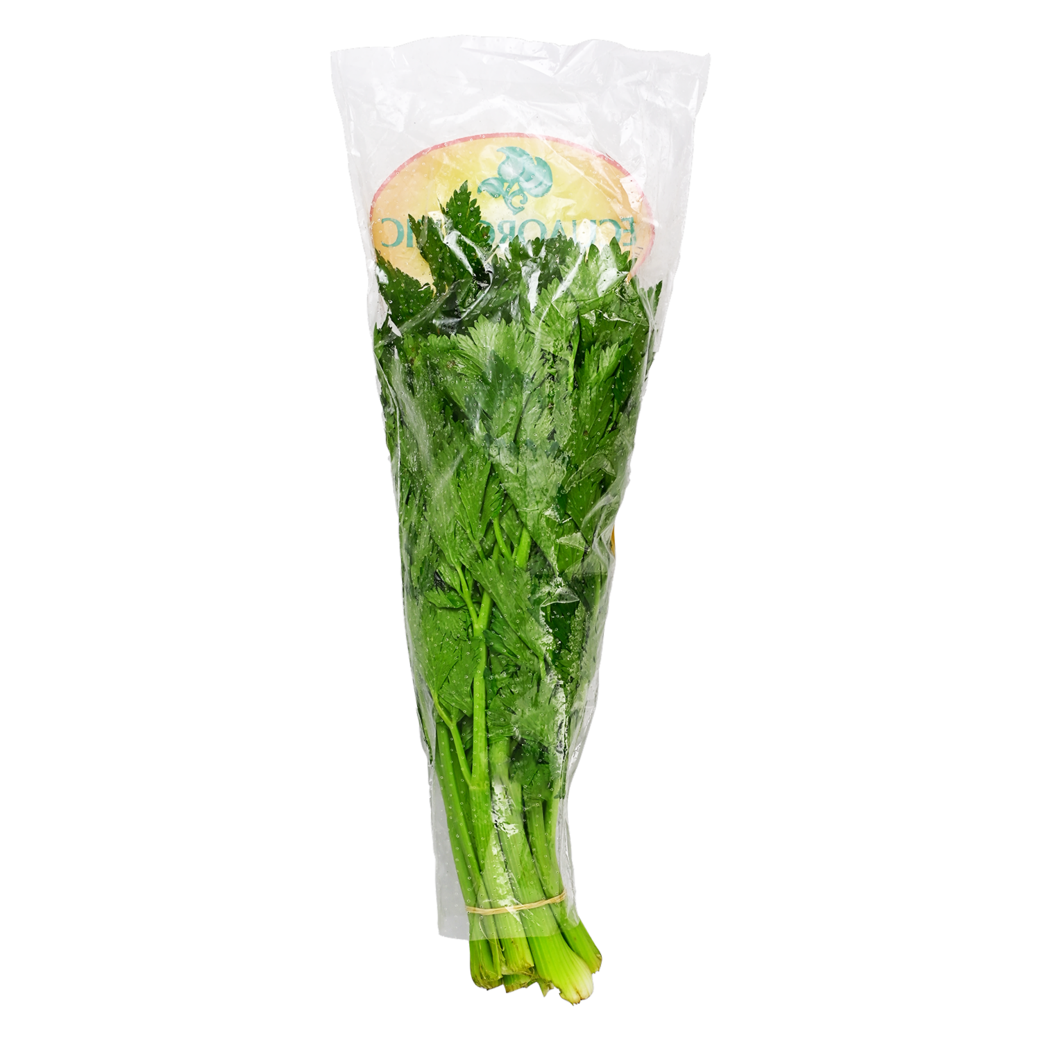 Apio Orgánico ECUAORGANIC 250 G