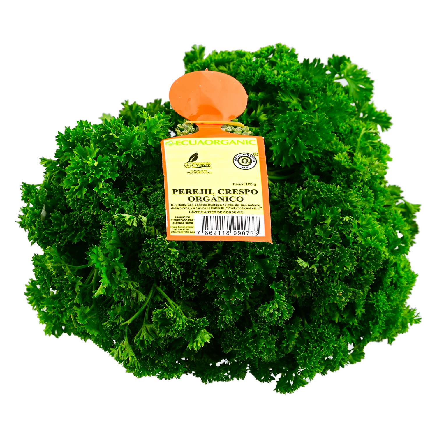 Perejil Crespo Orgánico ECUAORGANIC 120 g