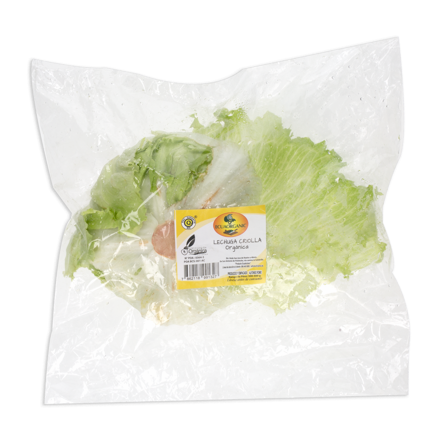 Lechuga Criolla Orgánica ECUAORGANIC 300-400 g