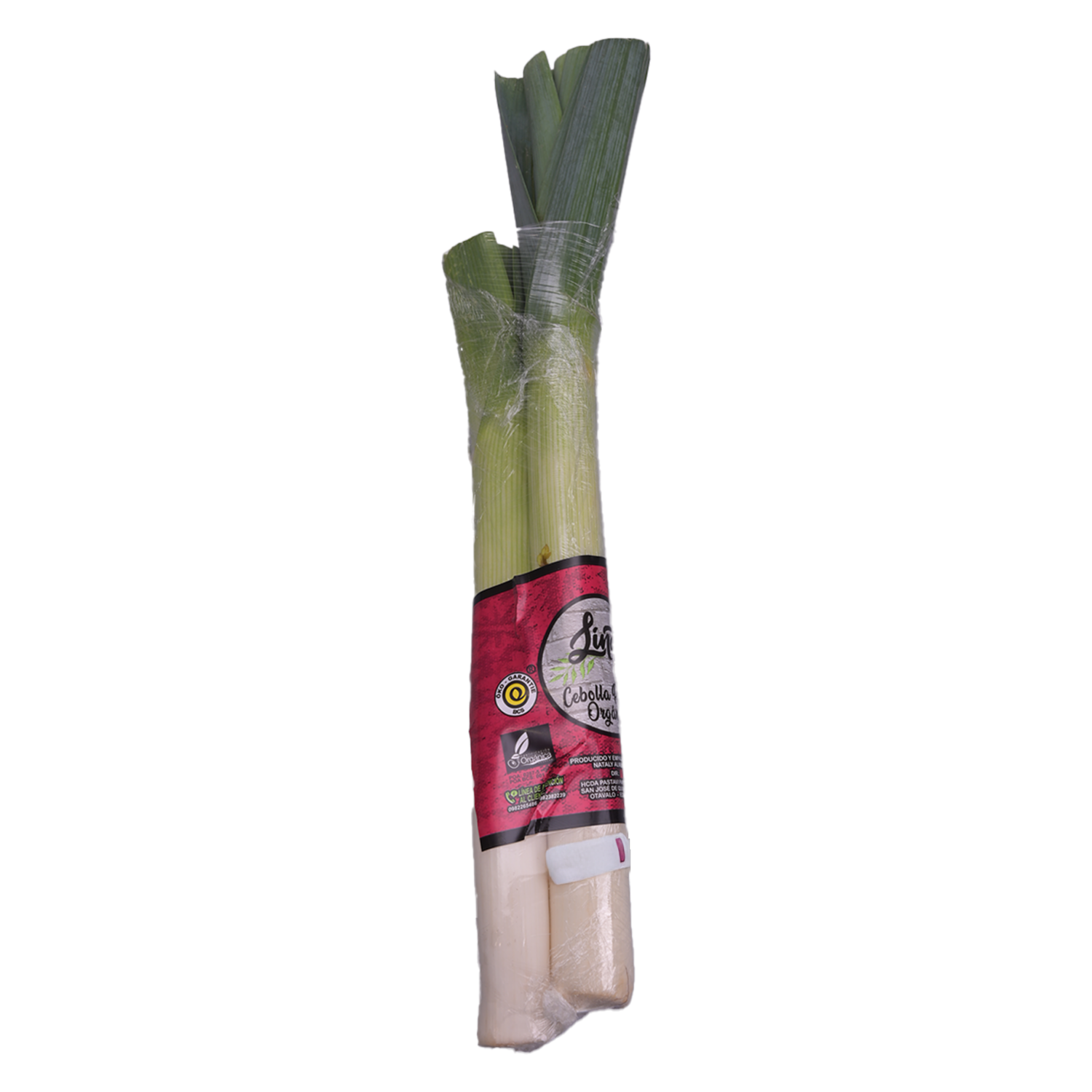 Cebolla Puerro Orgánica LINDA ORGANIC 300 G