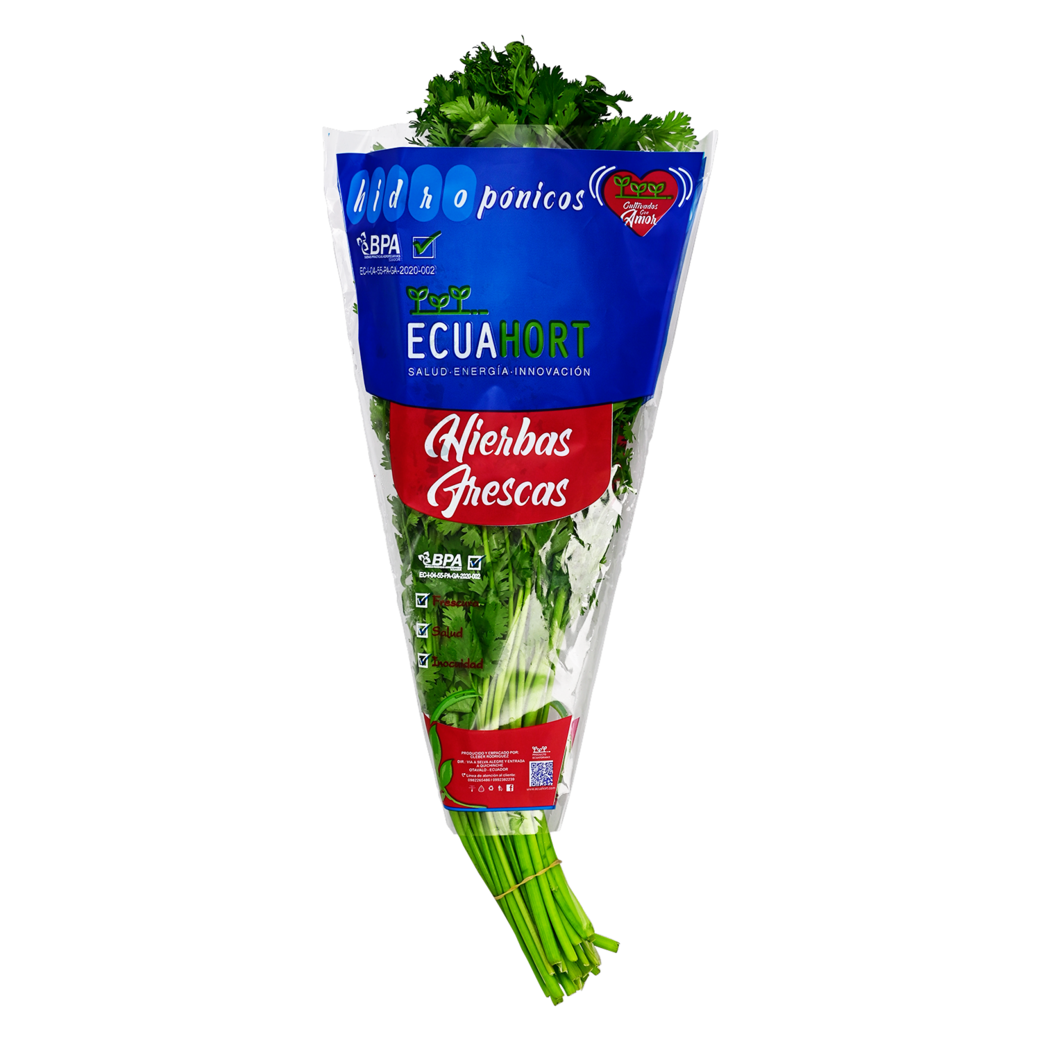 Cilantro Hidropónico ECUAHORT 120 G