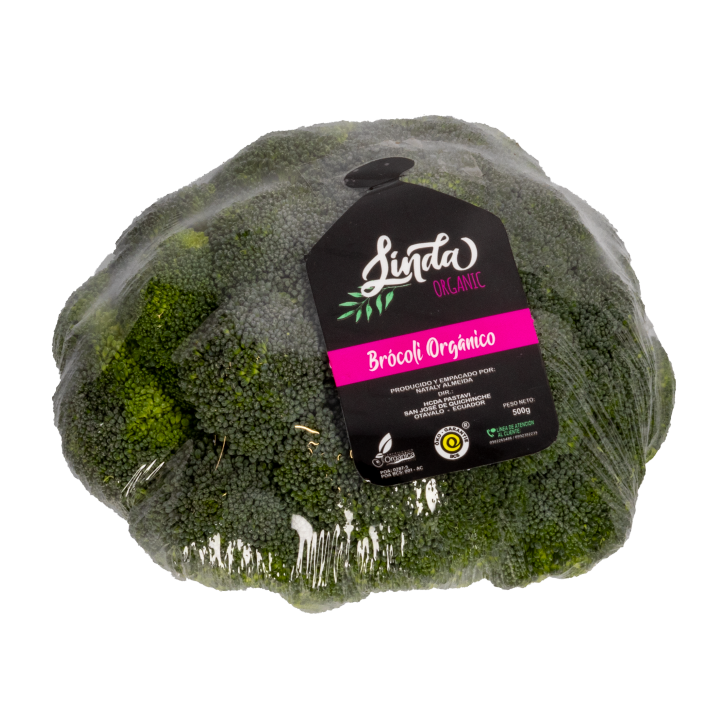 Brócoli Entero Orgánico Fresco LINDA ORGANIC 500 G