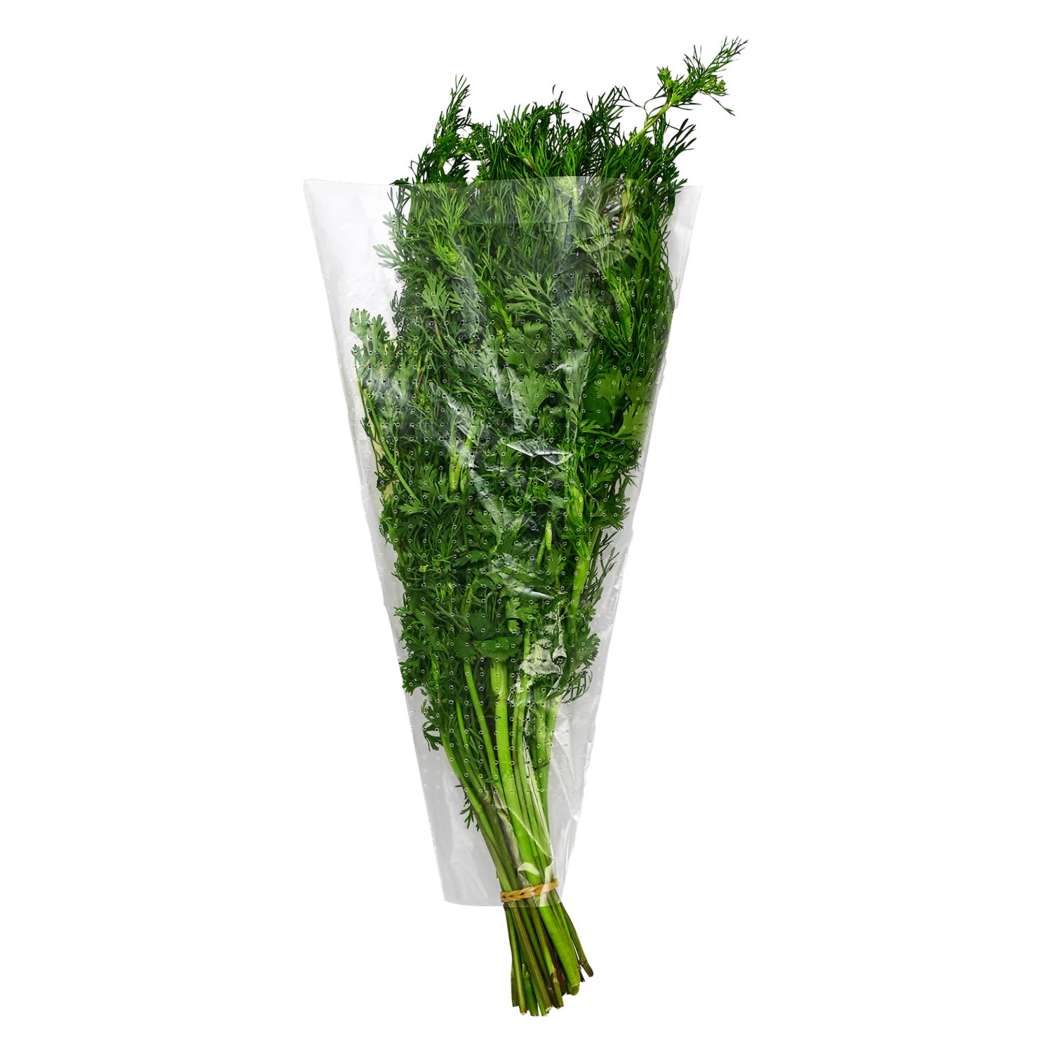 Culantro Fresco LA ZAMBICEÑA Atado