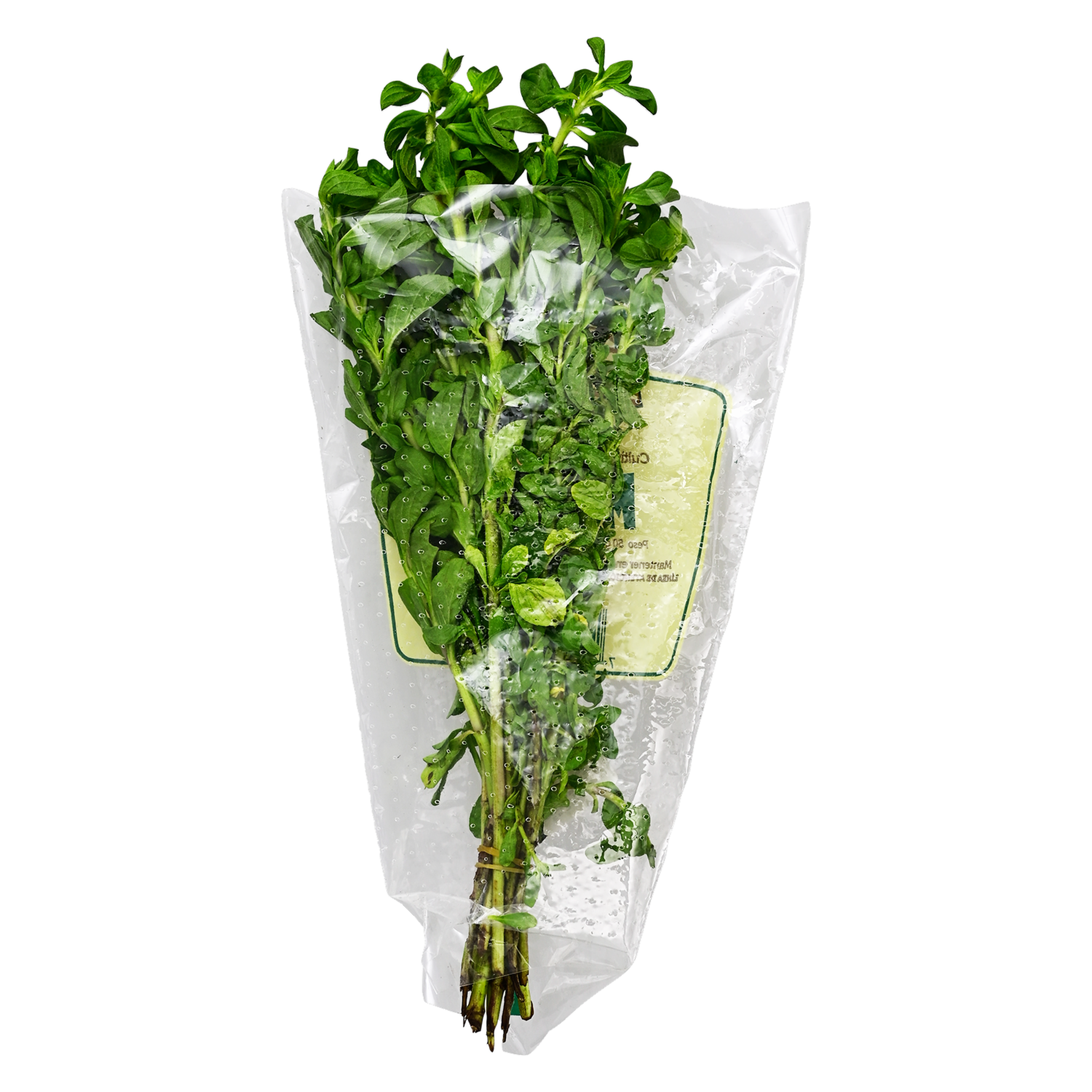 Menta Empacado LA ZAMBICEÑA 50 G