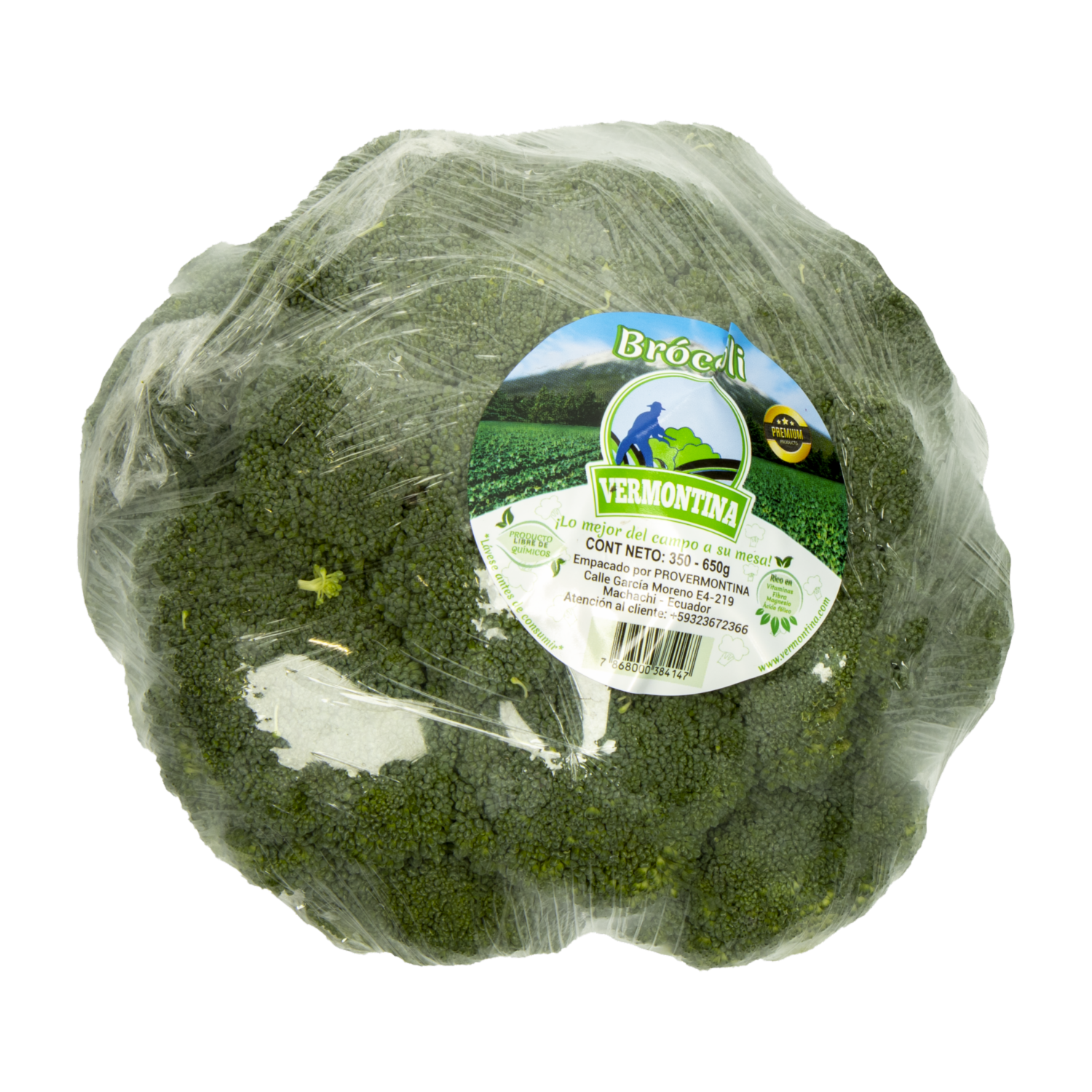 Brócoli Fresco VERMONTINA 550 G