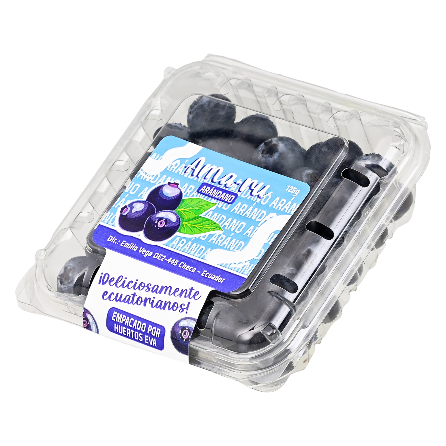 Arándanos Empacados AMA-RU 125 G