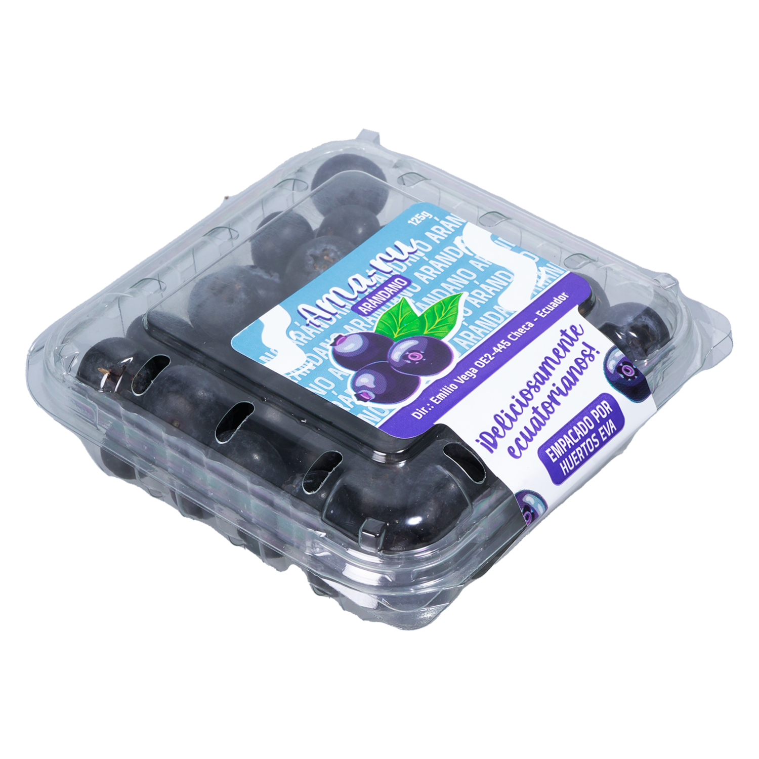 Arándanos Empacados AMA-RU 125 G