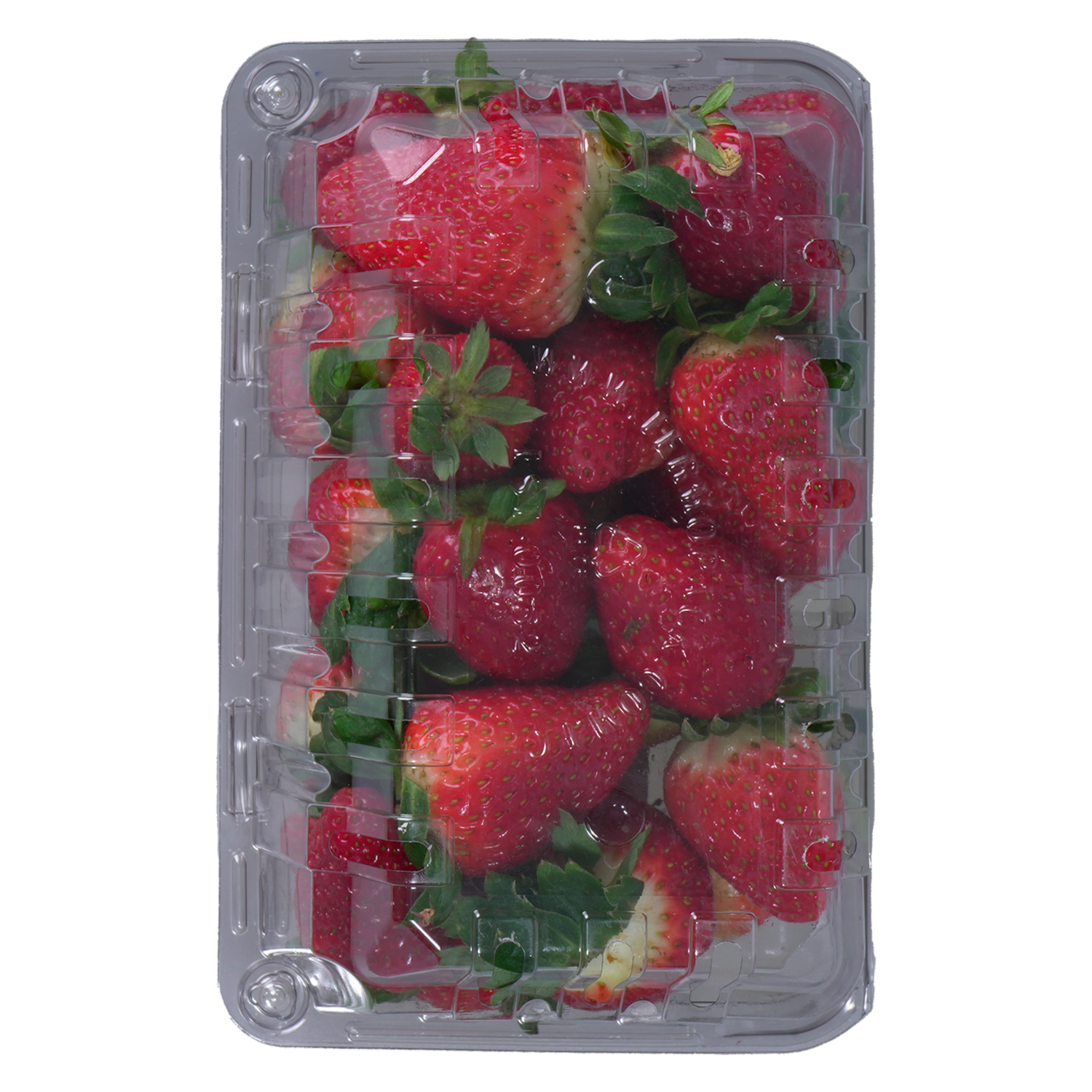 Frutilla Gruesa LA FRESITA Tarrina