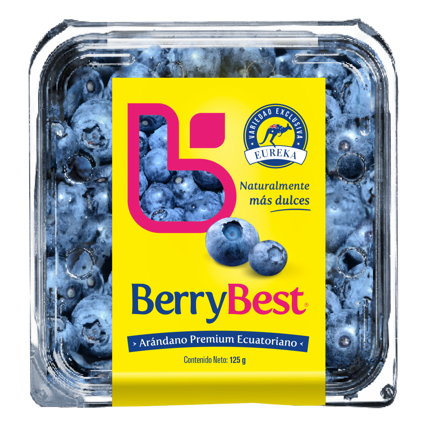 Arándanos Premium BERRYBEST 125 G