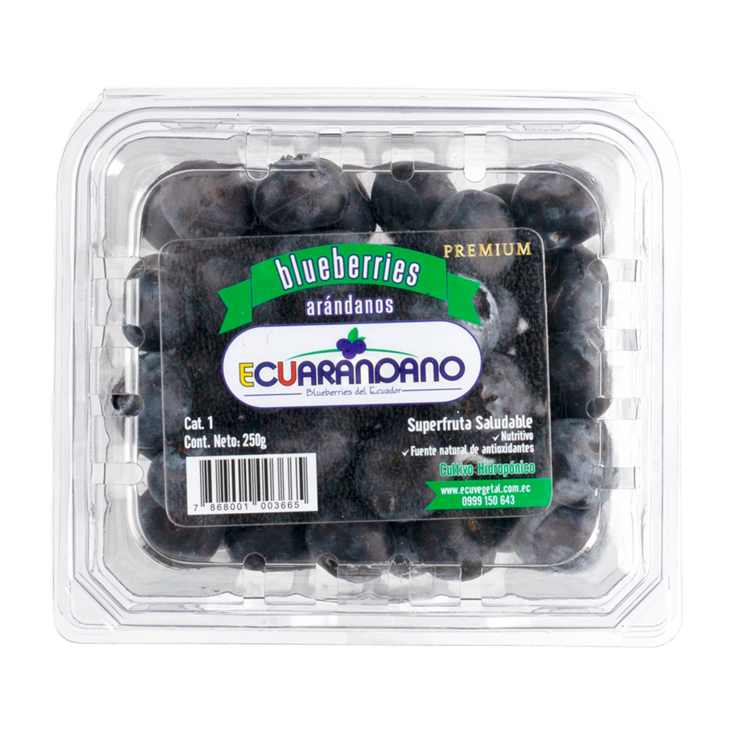 Arándanos Jumbo ECUARANDANO 250 G