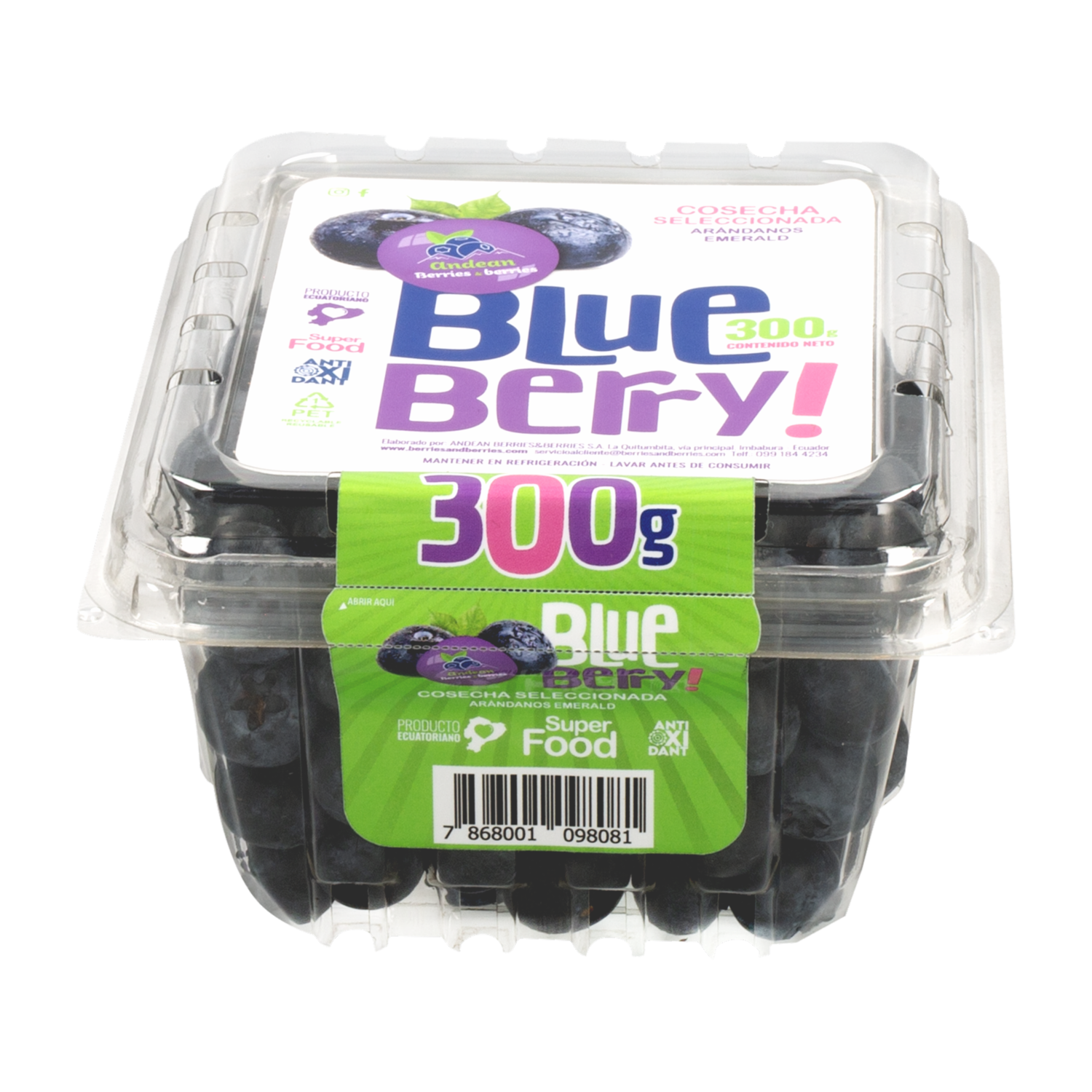 Arándanos Berries & Berries ANDEAN 300 G