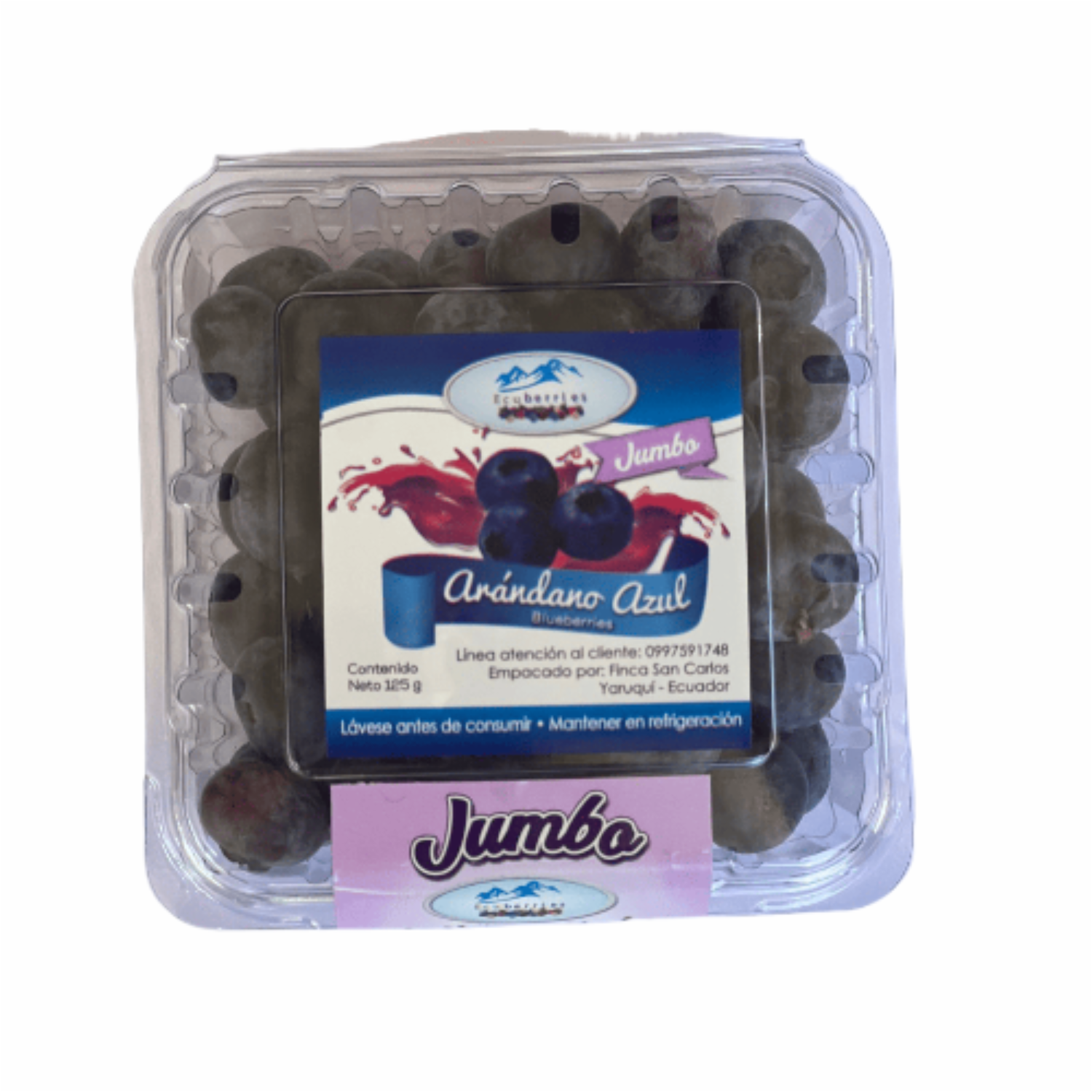 Arándanos Frescos Jumbo CAFRA 125 G