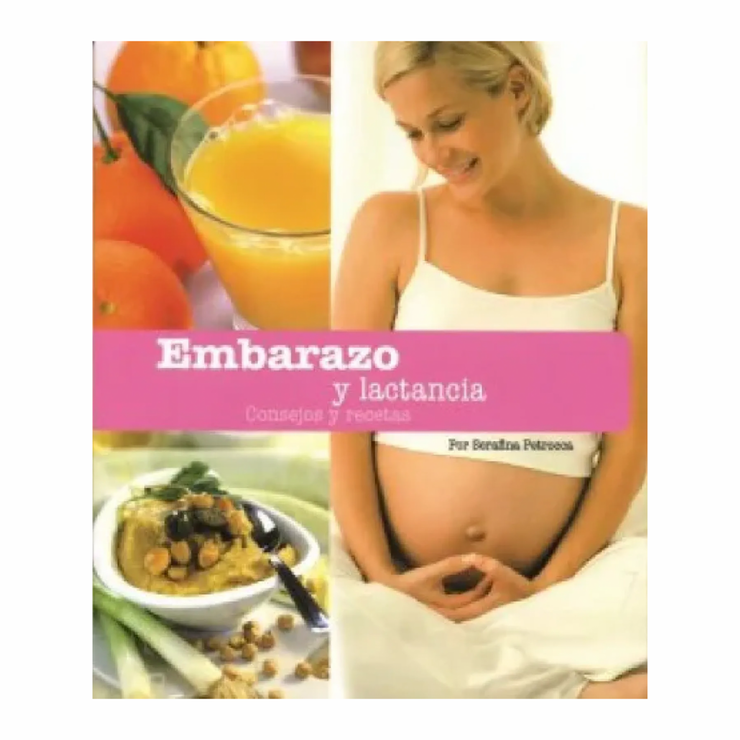 Embarazo Y Lactancia Serafina Petrocca MR.BOOKS 127 Páginas