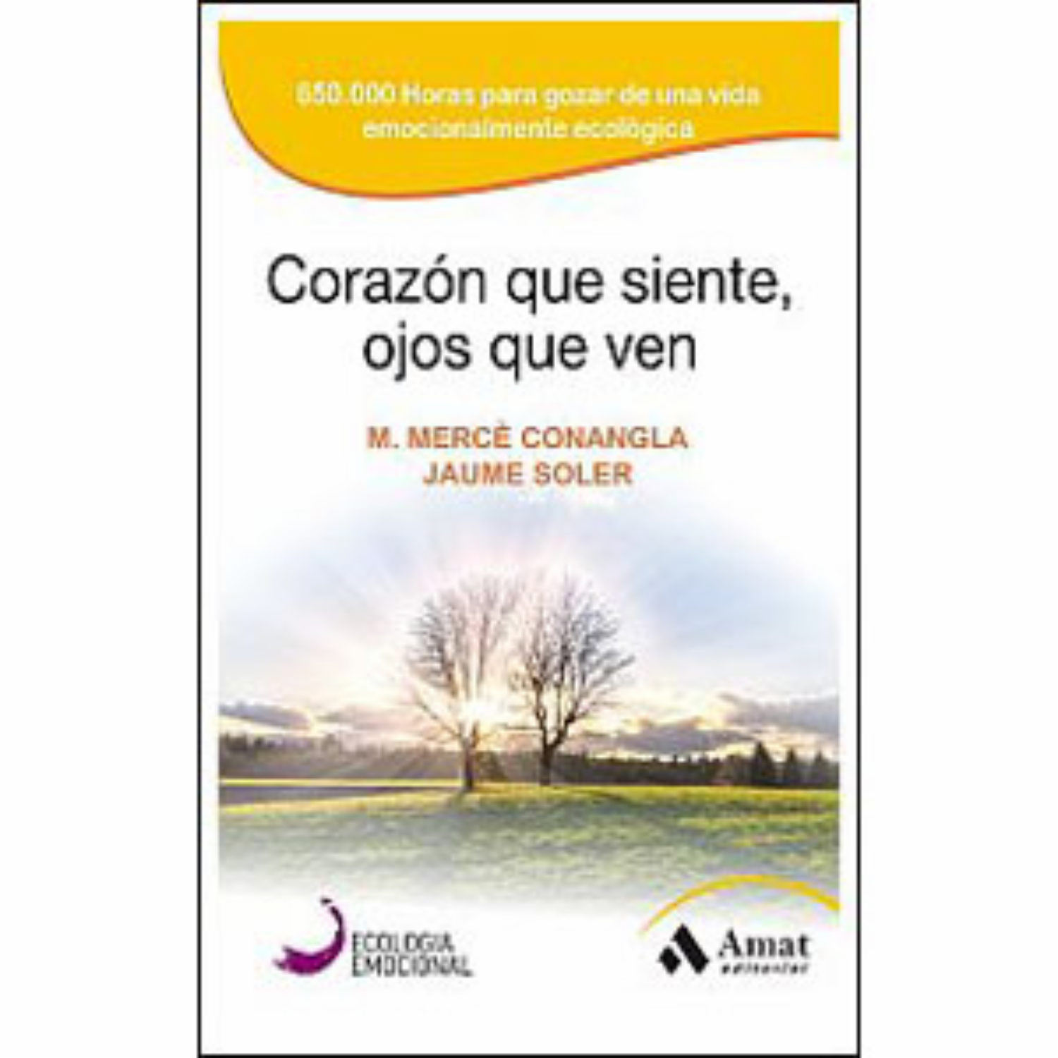 Corazón Que Siente Ojos Que Ven Mercè Conangla Y Jaume Soler MR.BOOKS 240 Páginas