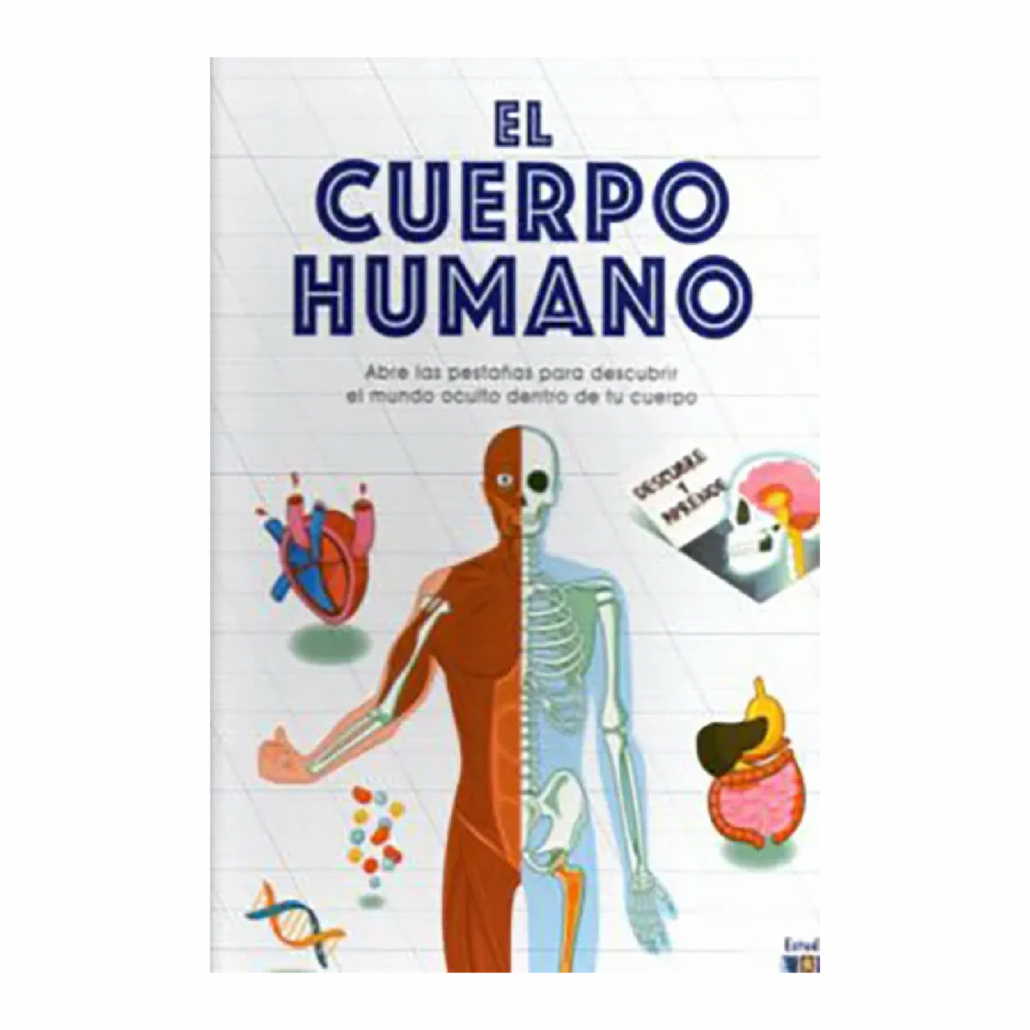 El Cuerpo Humano Marnie Willow ESTUDIO DIDACTICO 78 Páginas