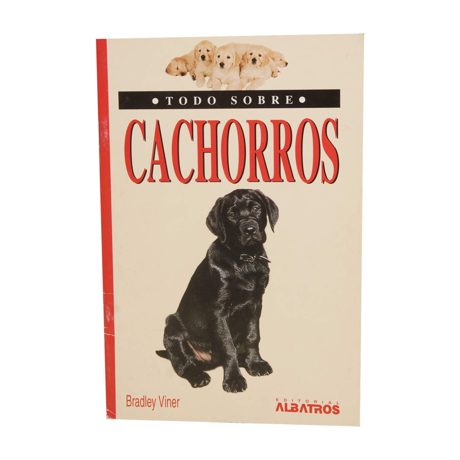 Libro Todo Sobre Cachorros MR.BOOKS 31 Páginas