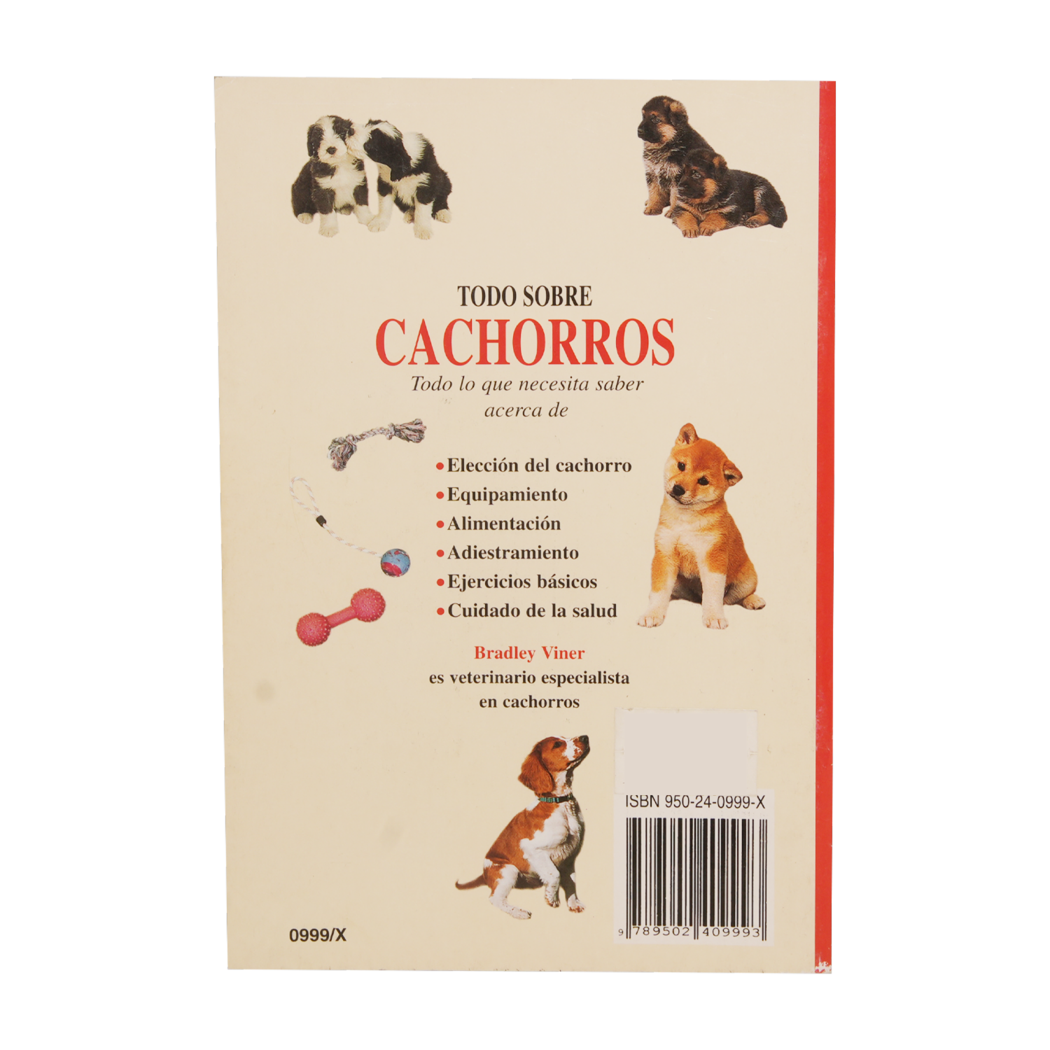 Libro Todo Sobre Cachorros MR.BOOKS 31 Páginas