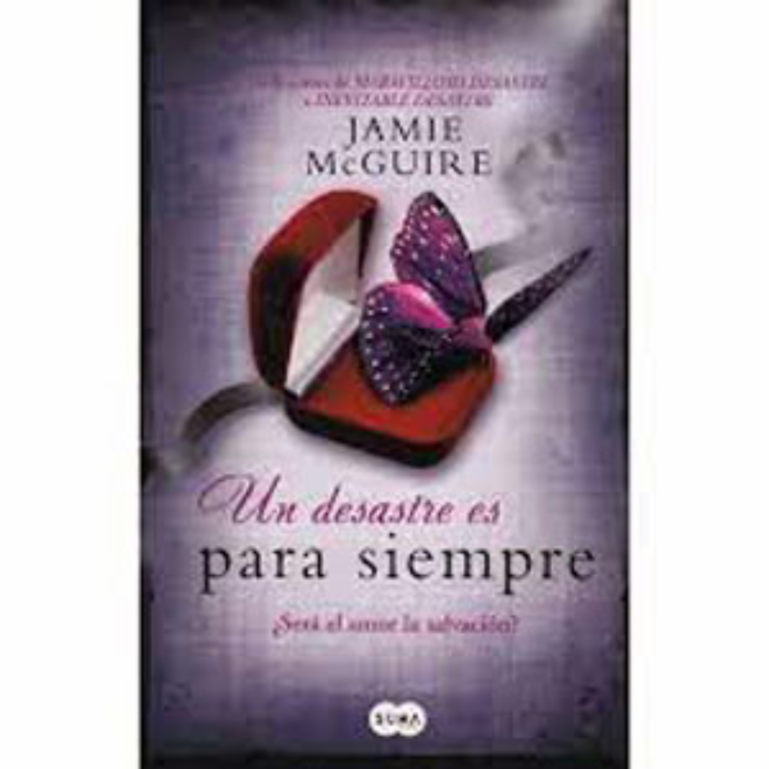 Un Desastre Es Para Siempre Jaime Mcguire MR.BOOKS 160 Páginas