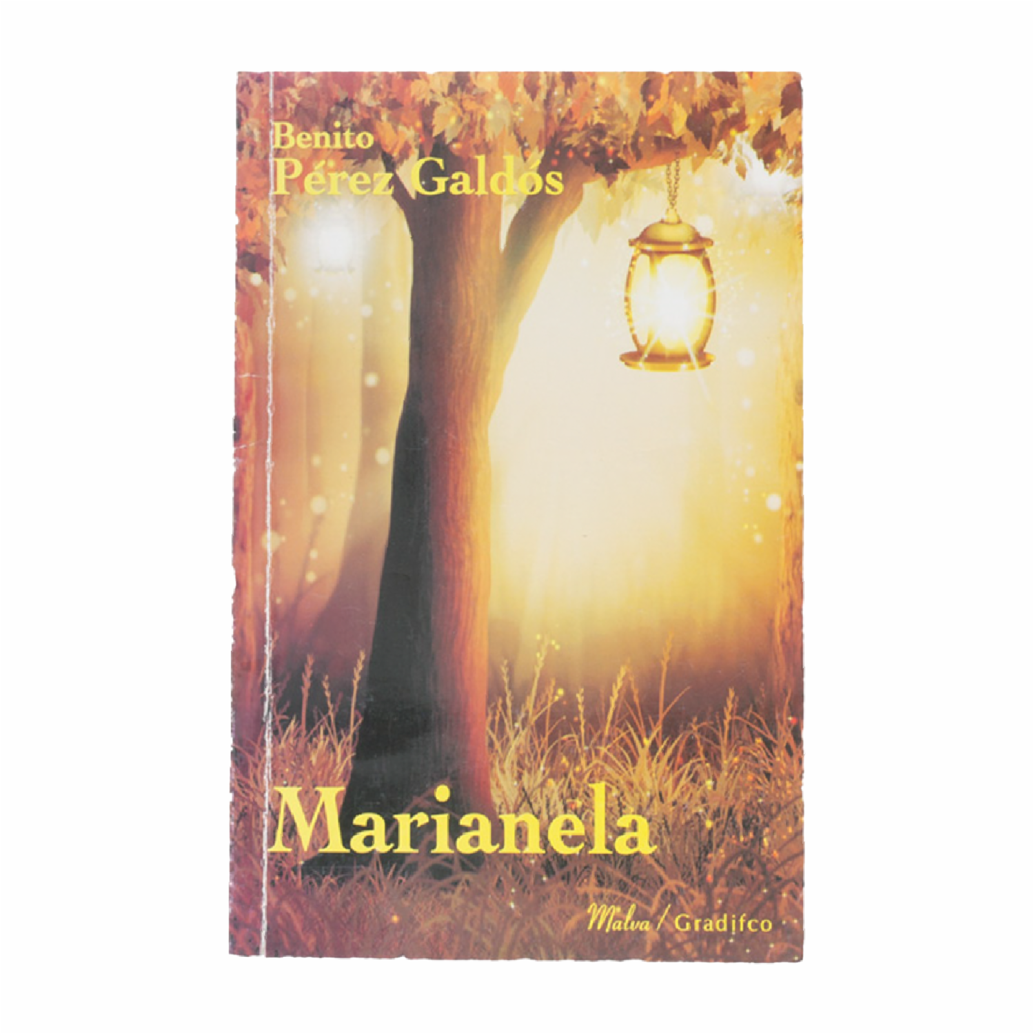 Marianela Benito Perez Galdós GRADIFCO 187 Páginas