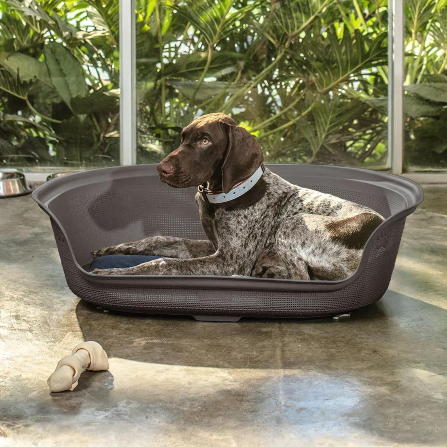 Cama Para Perro Diseño Mocca RIMAX Unidad