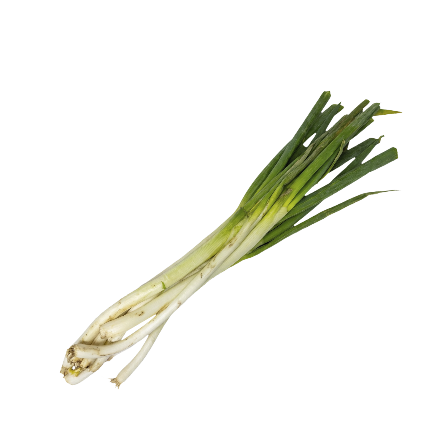 Cebolla Larga LA ORIGINAL 0,49 Ctvs.